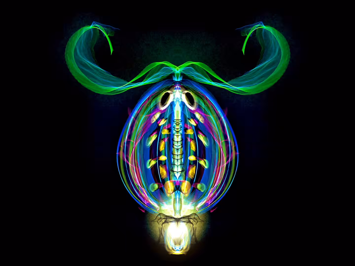 Diel vertical migration
