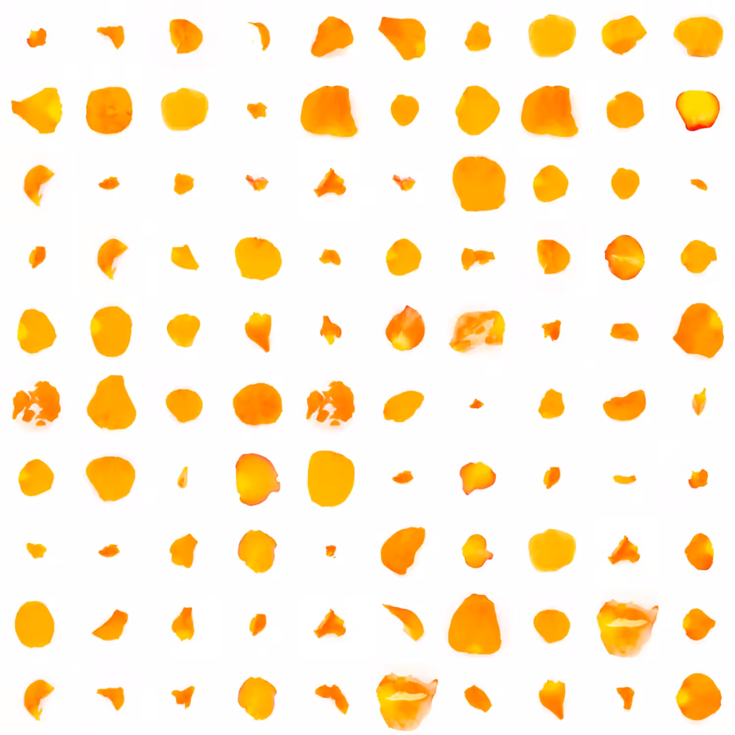 Infinite Petals 10x10#2639