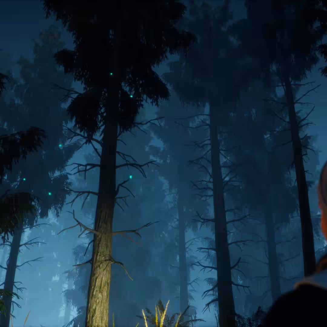 Enchanted Forest