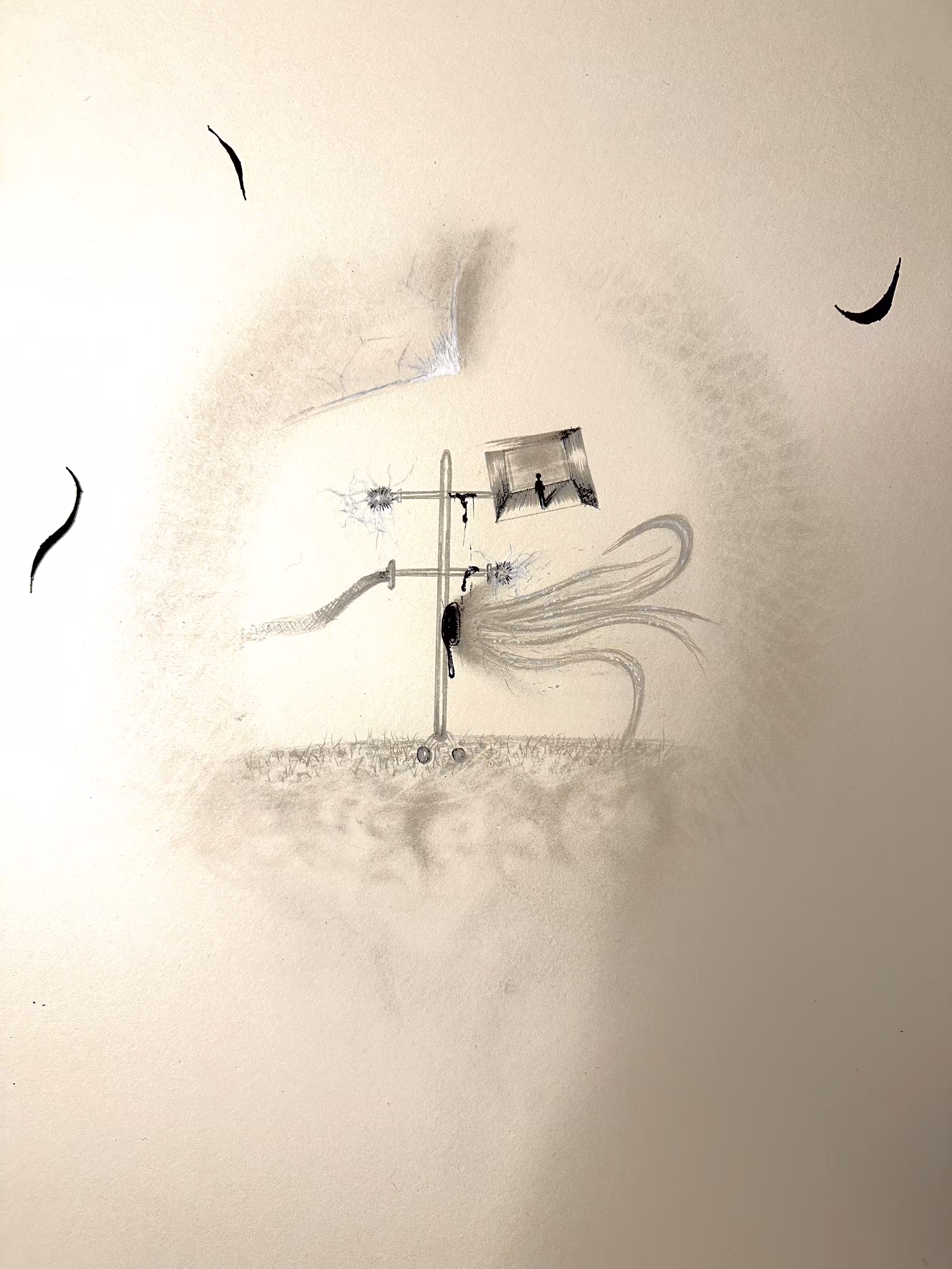 tinnitus and the middle ear
