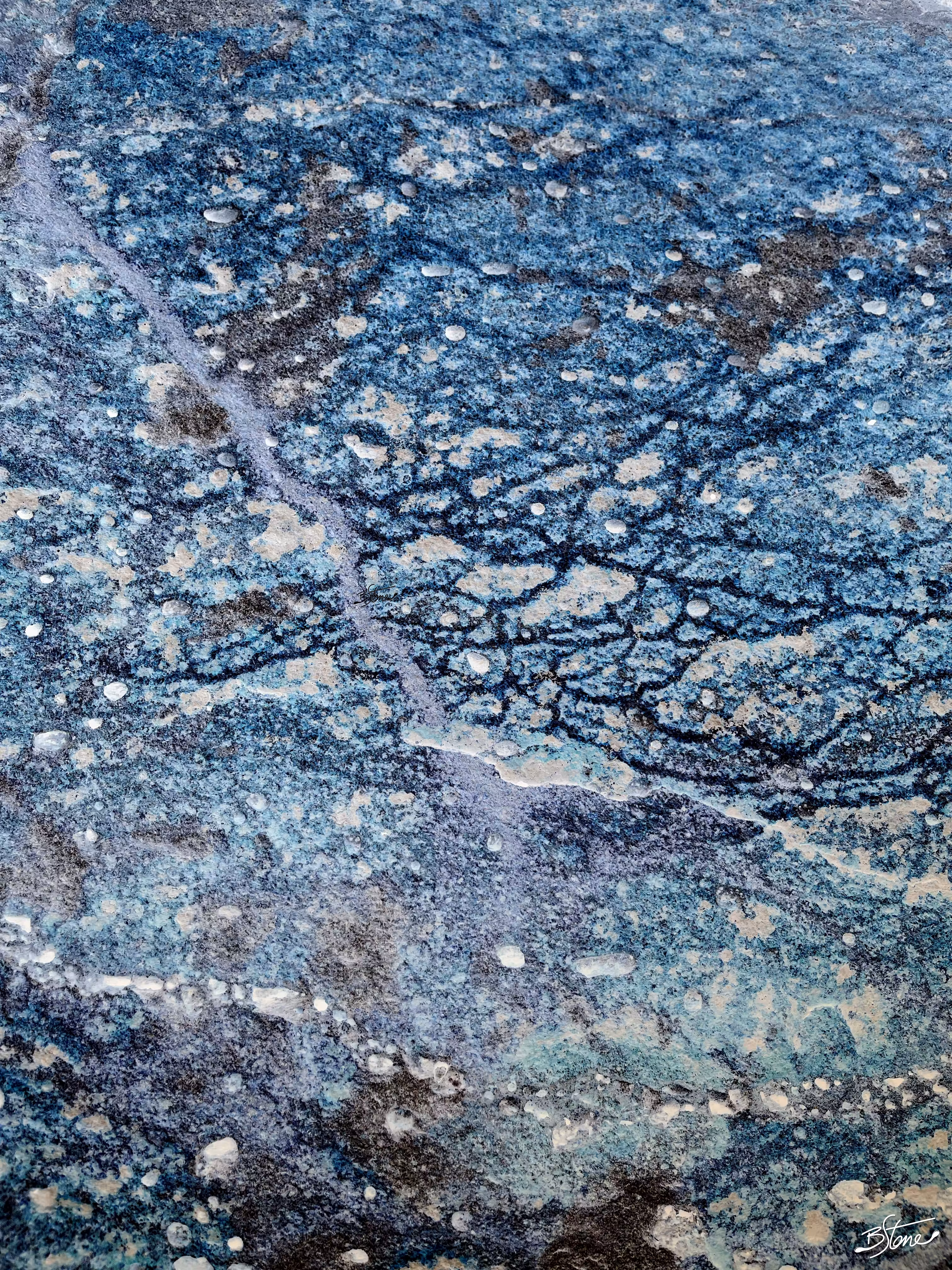 BLUE MOON