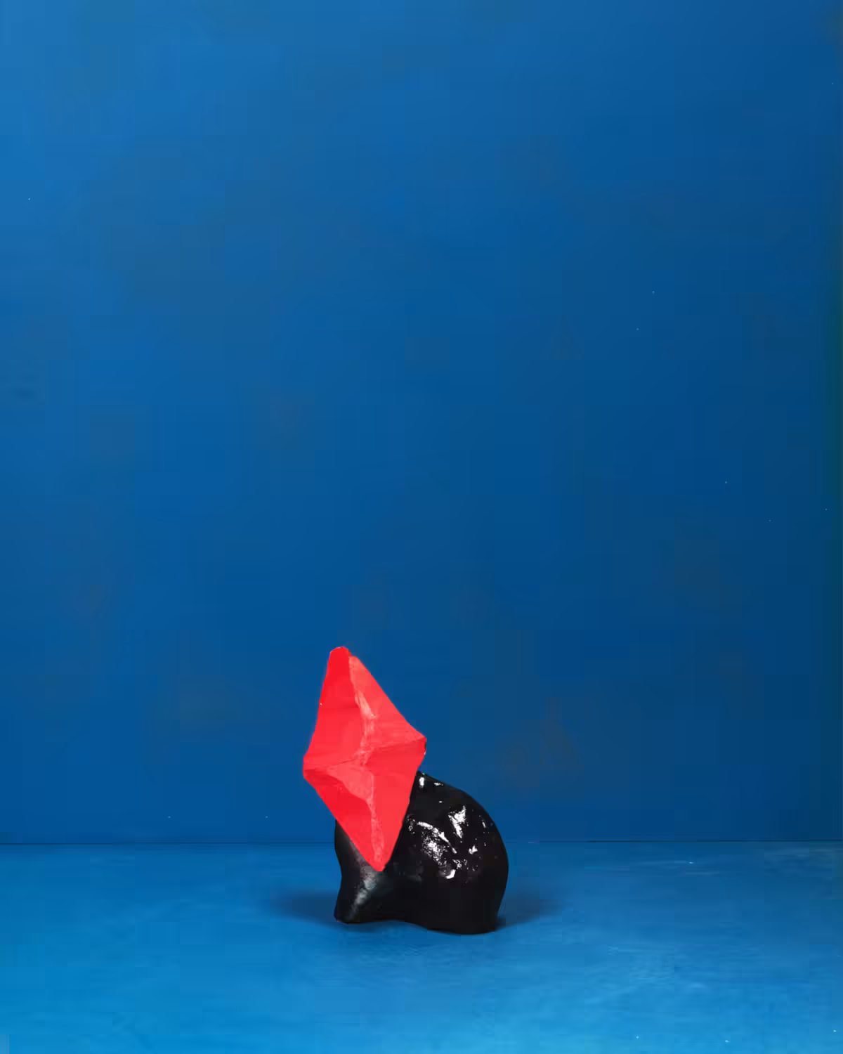 FUGAX  curiosa collection