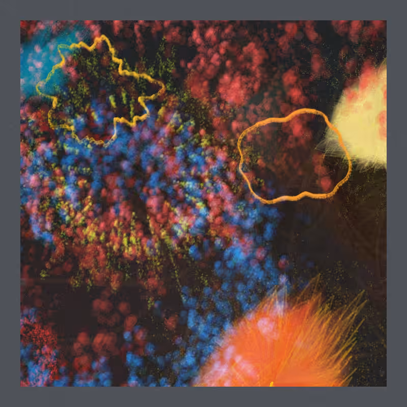 Love & Dive - Reminiscence #87
