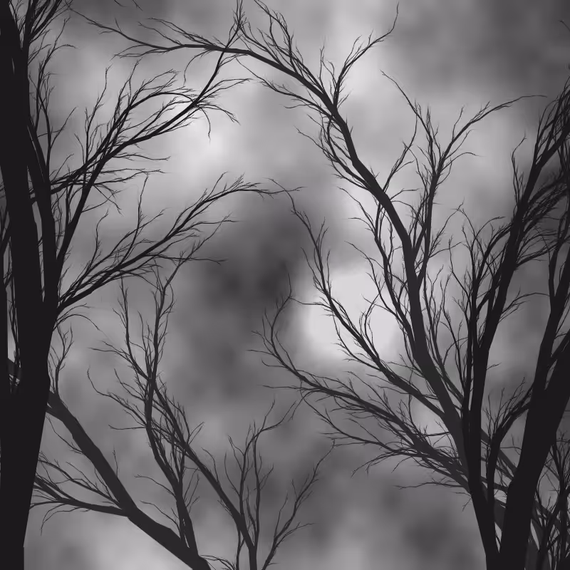 Through the night #23