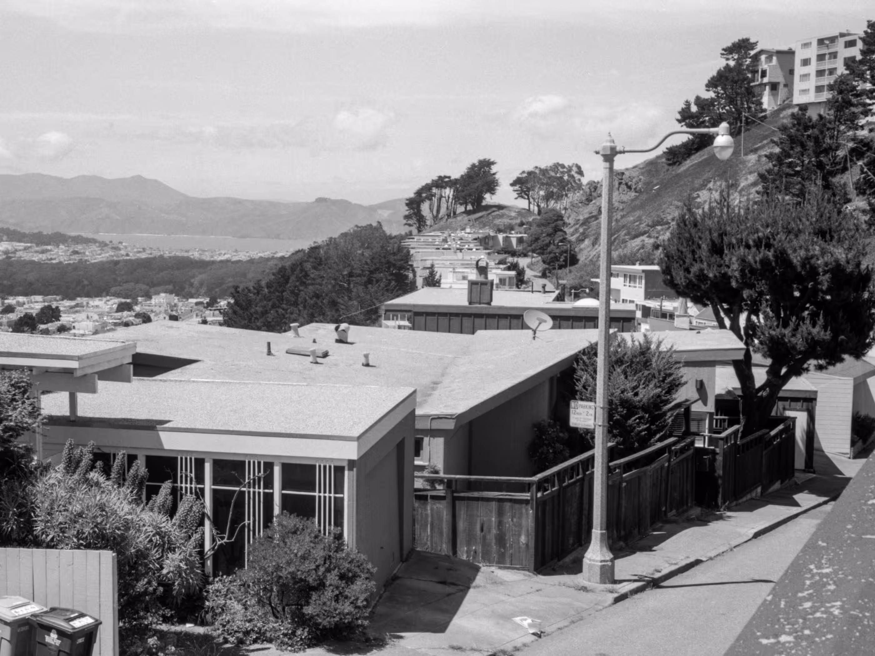 Mt. Tamalpais from Forest Hill