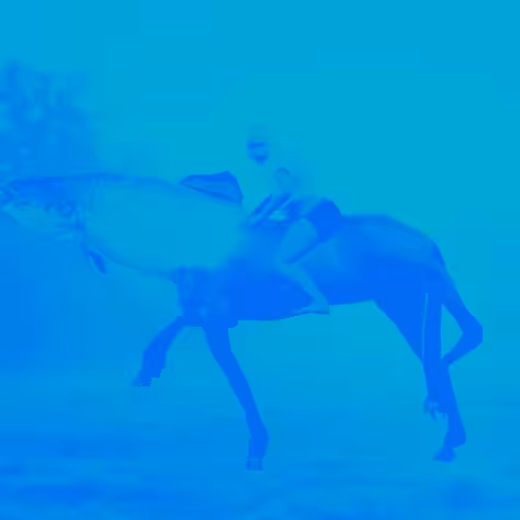Trot Cycle