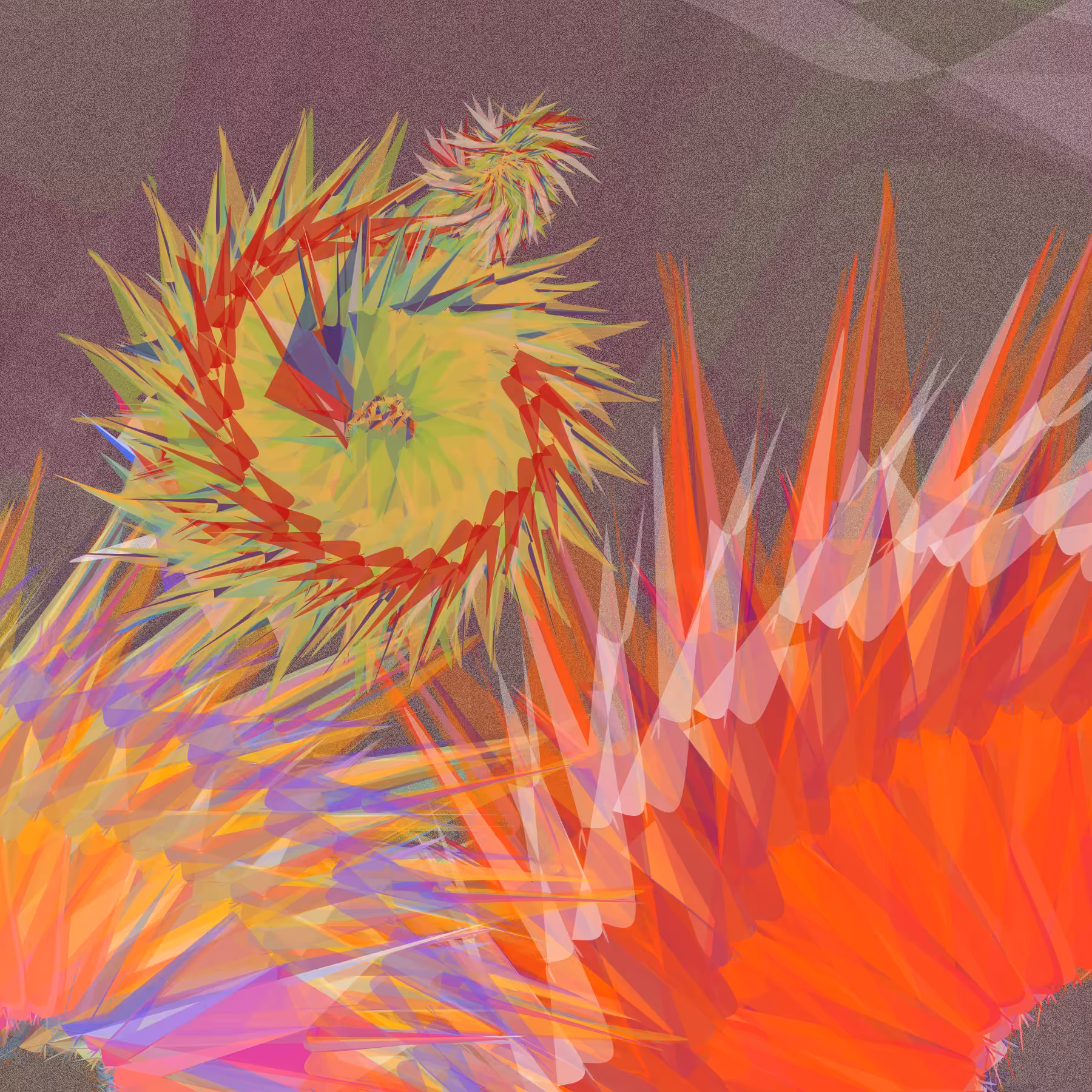 Tillandsia-B #6