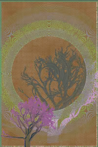 illusion #3