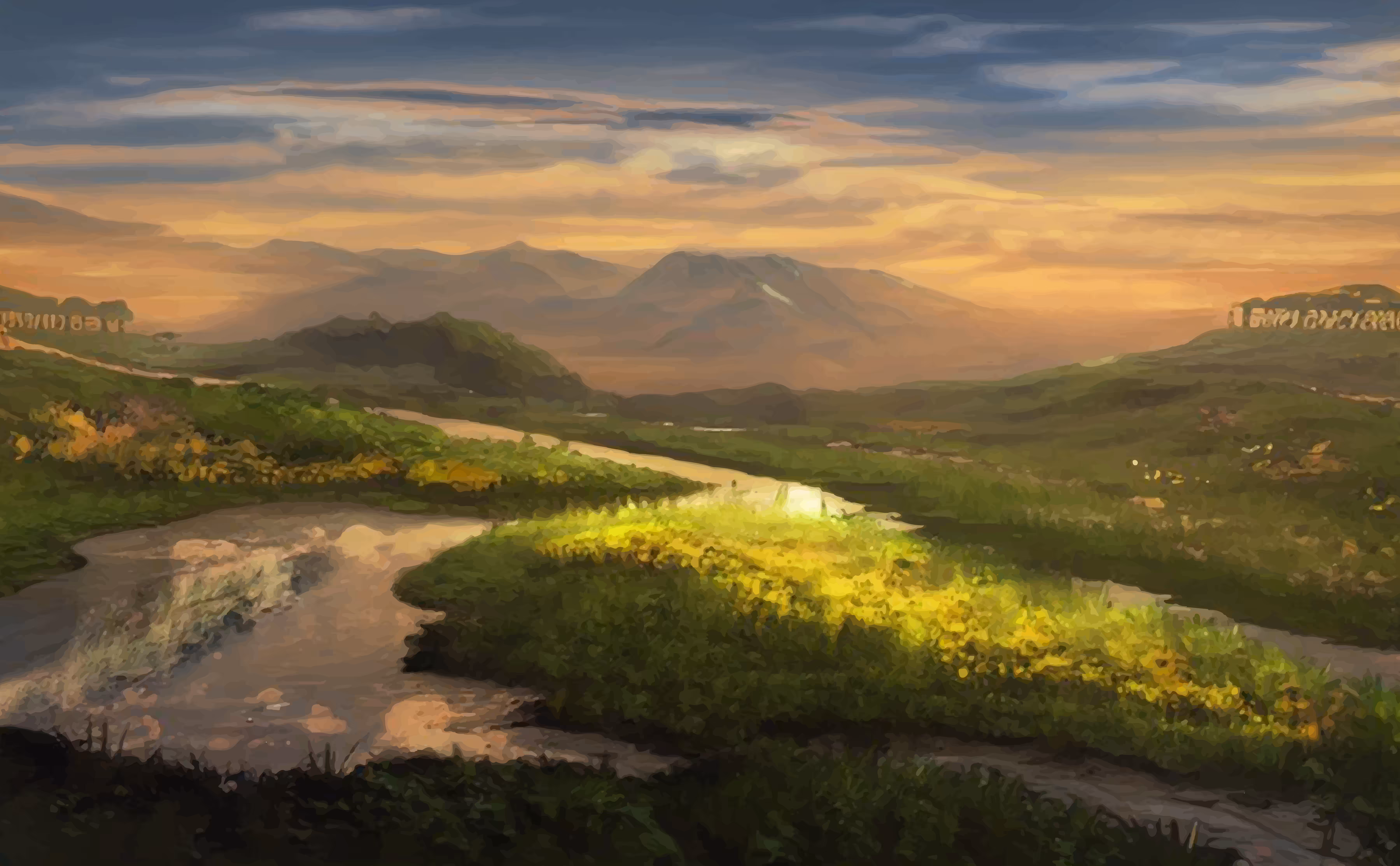 Peaceful field