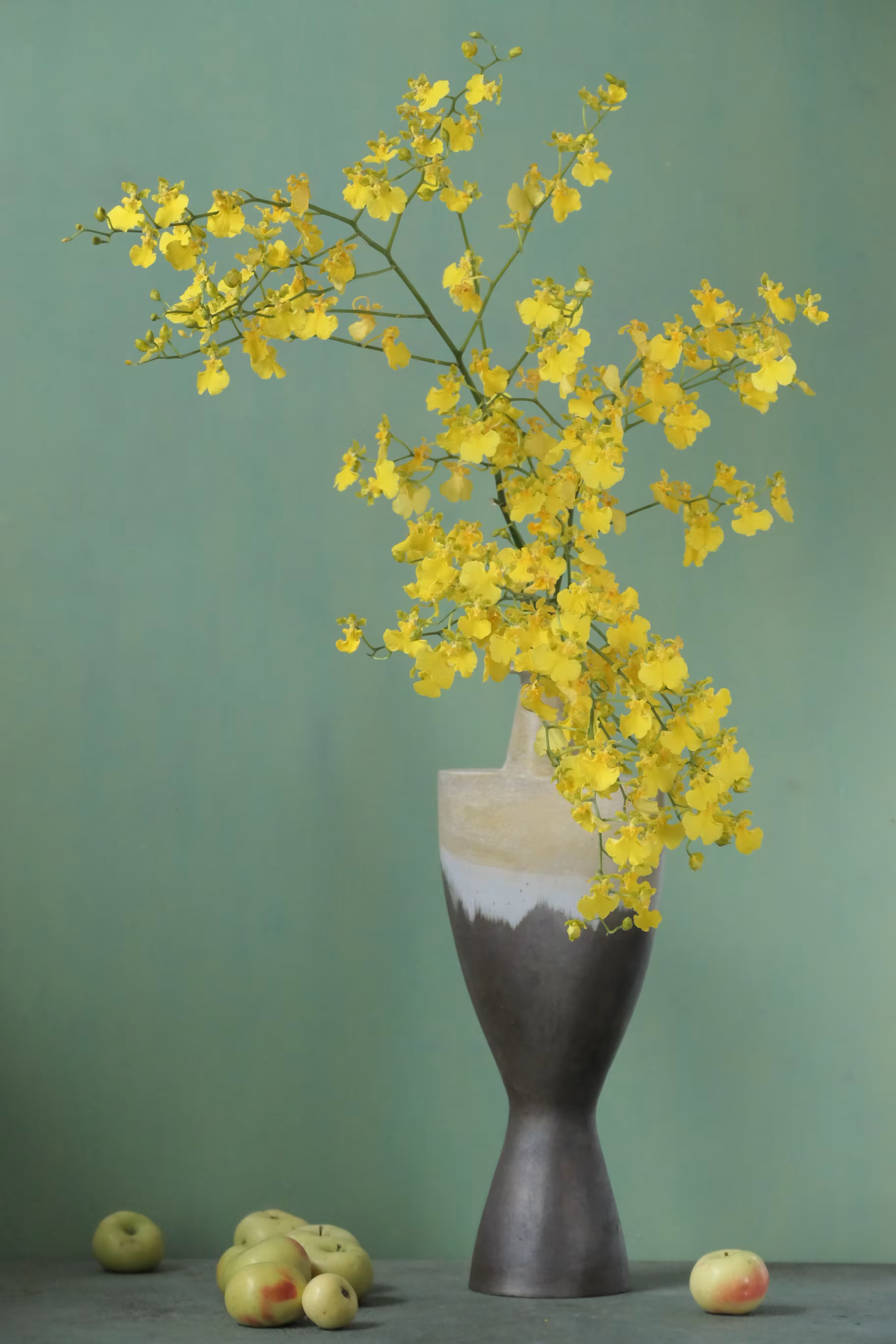 Still Life #6