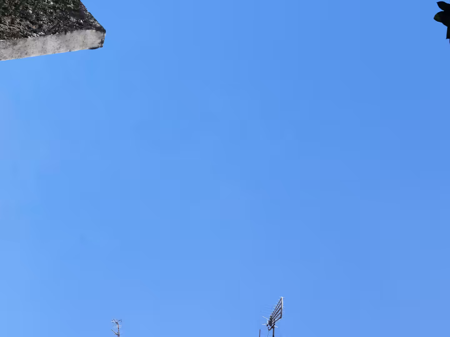 Blue Screen #27