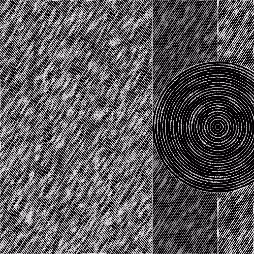Rings of Order #7