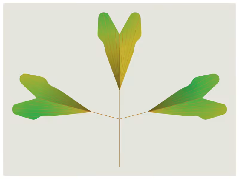 Leaves #5