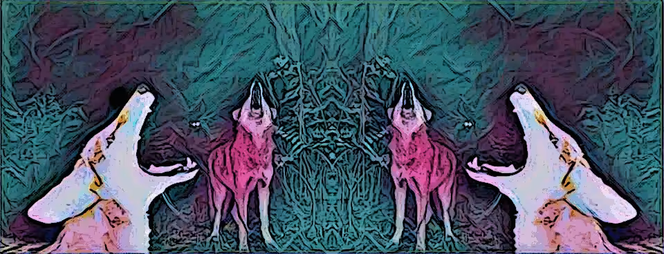 Dark Spirit