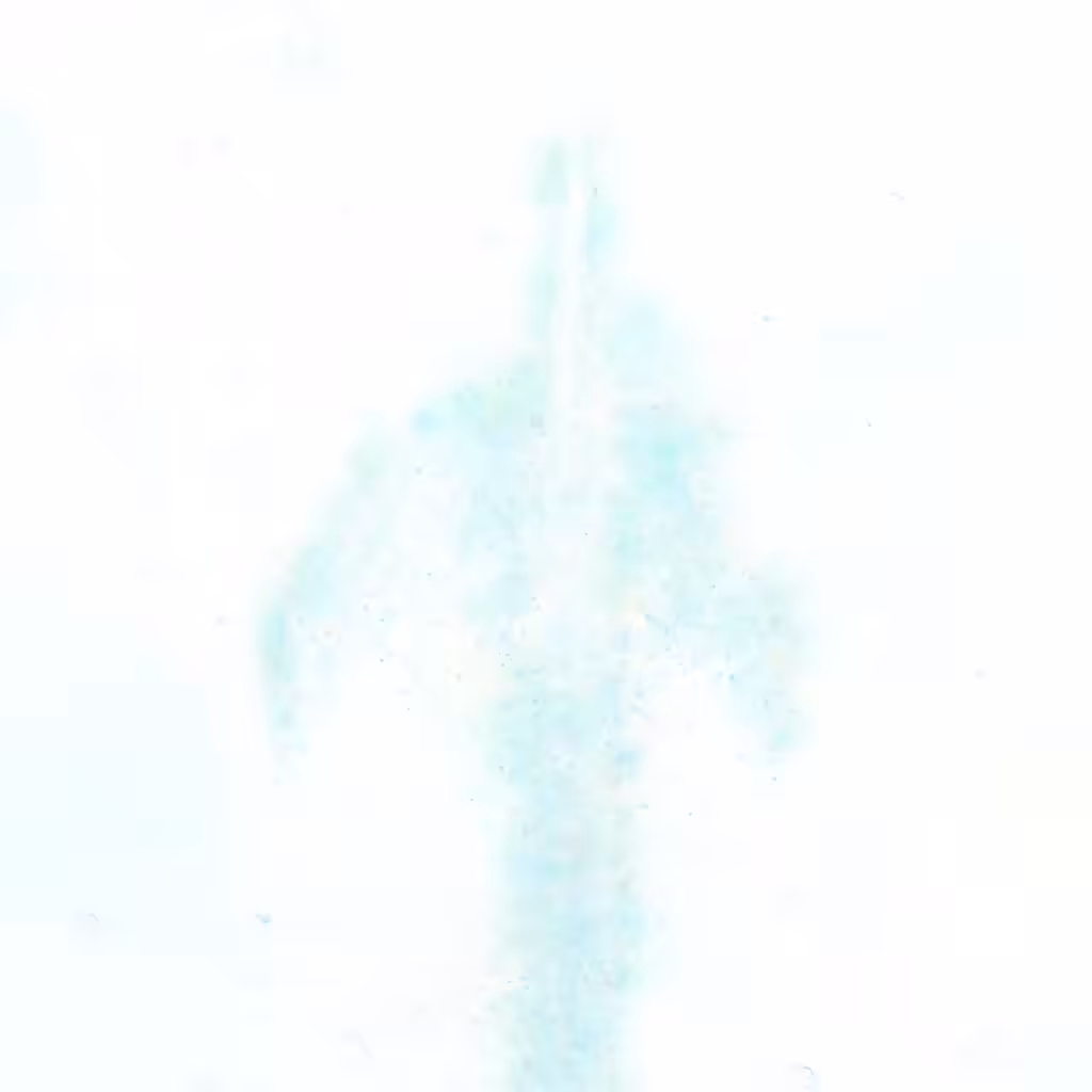 Phantom 0