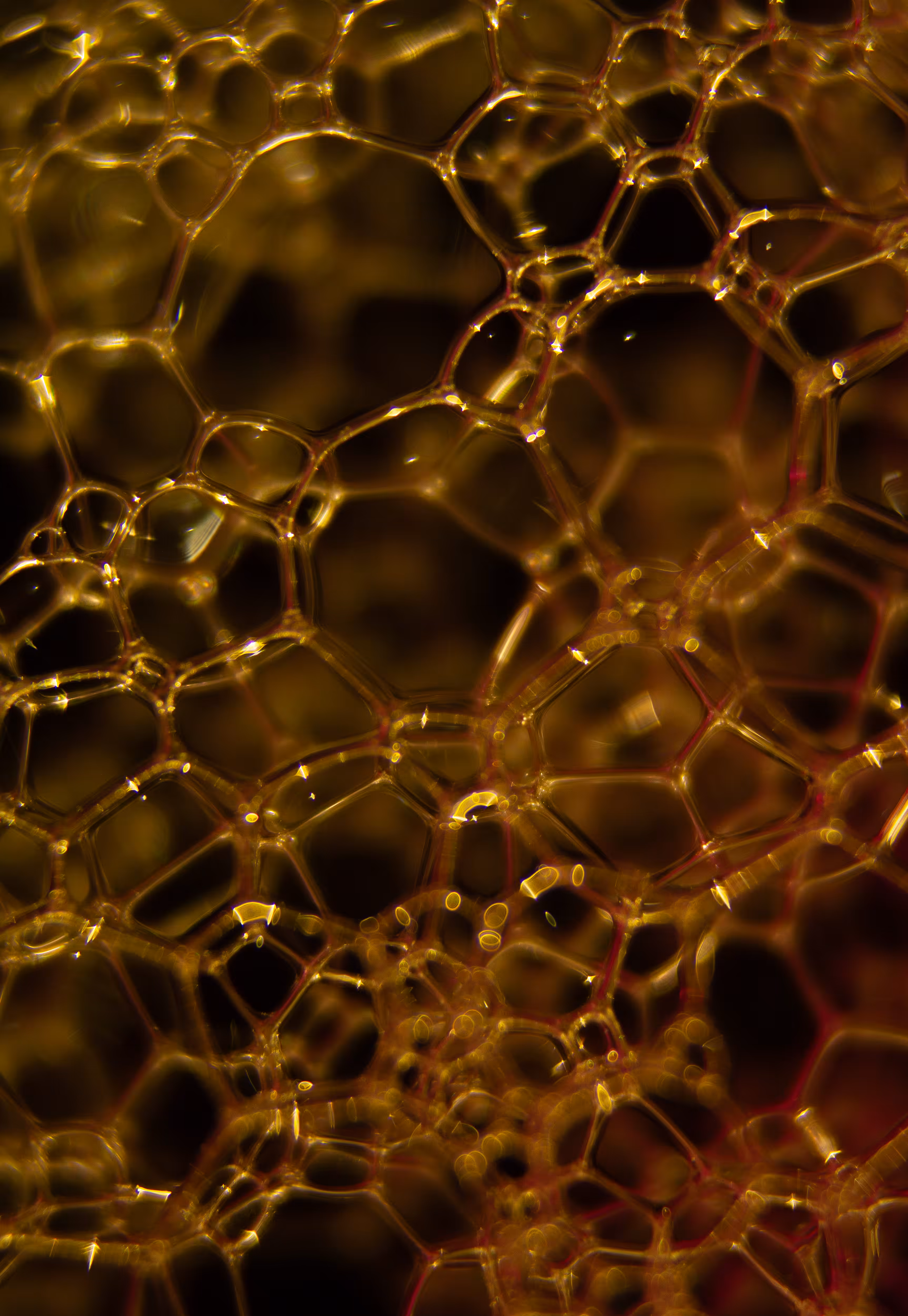Abstract World of Soap Bubbles: #110 Bubbles