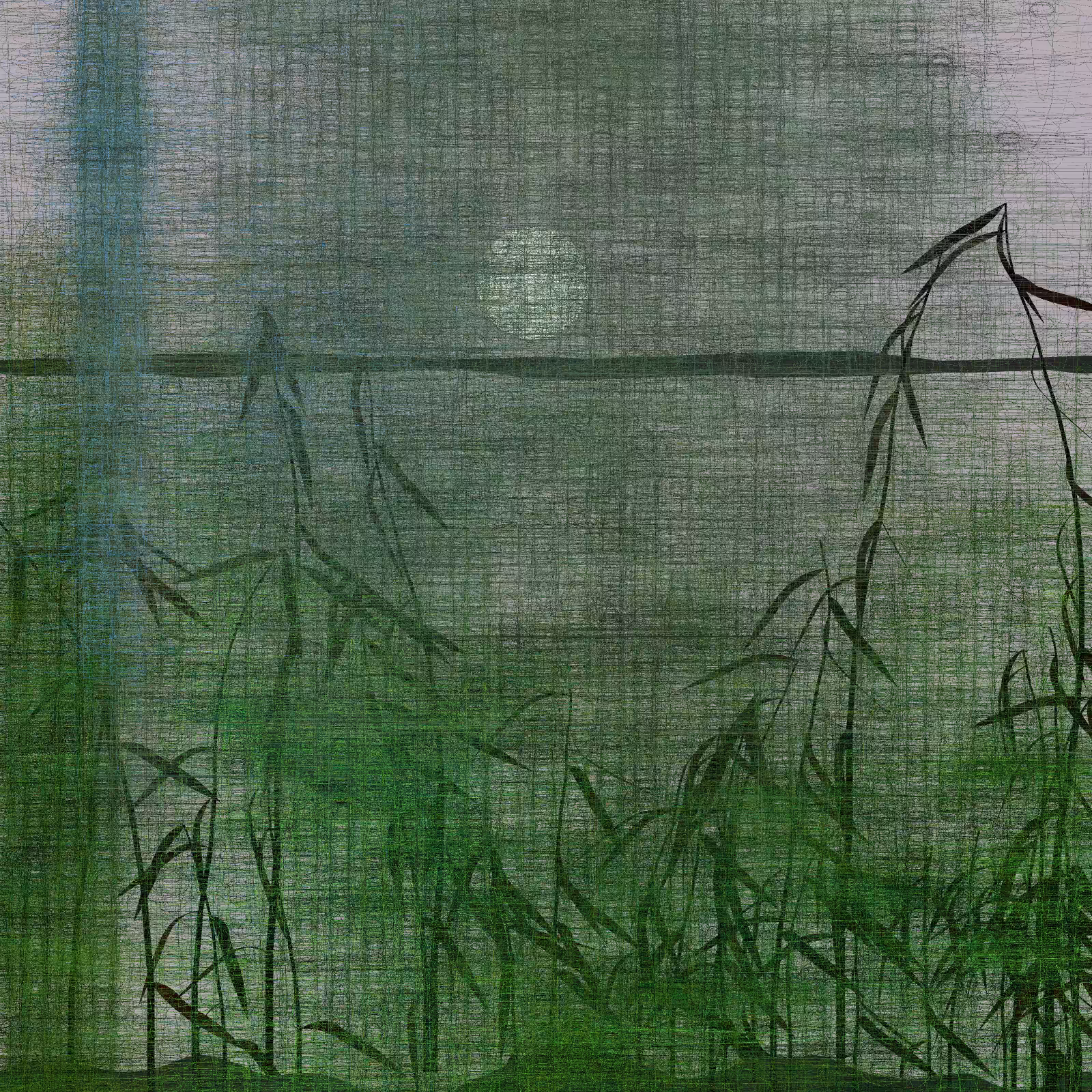 Echoes #50