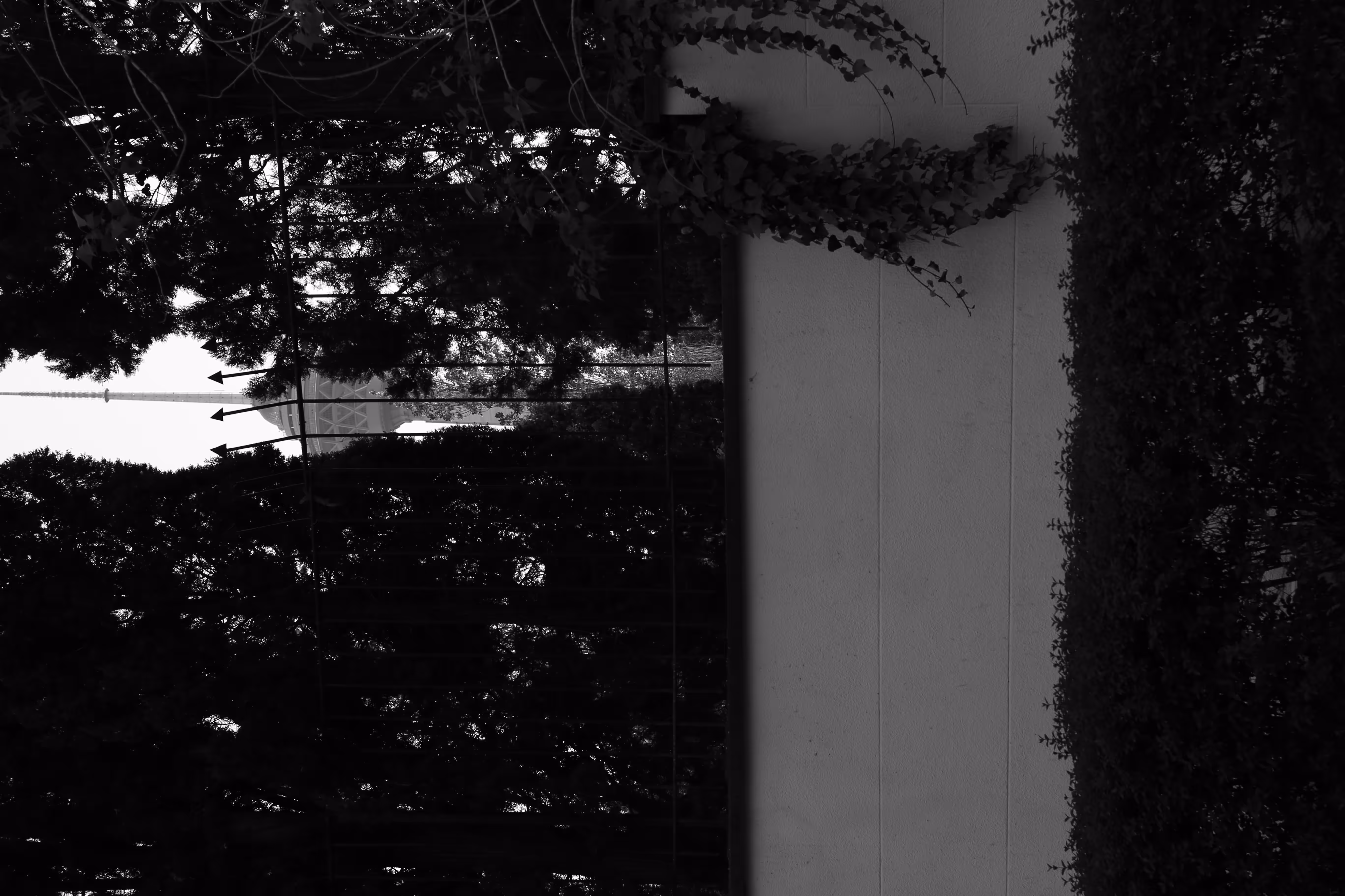 Framed by nature