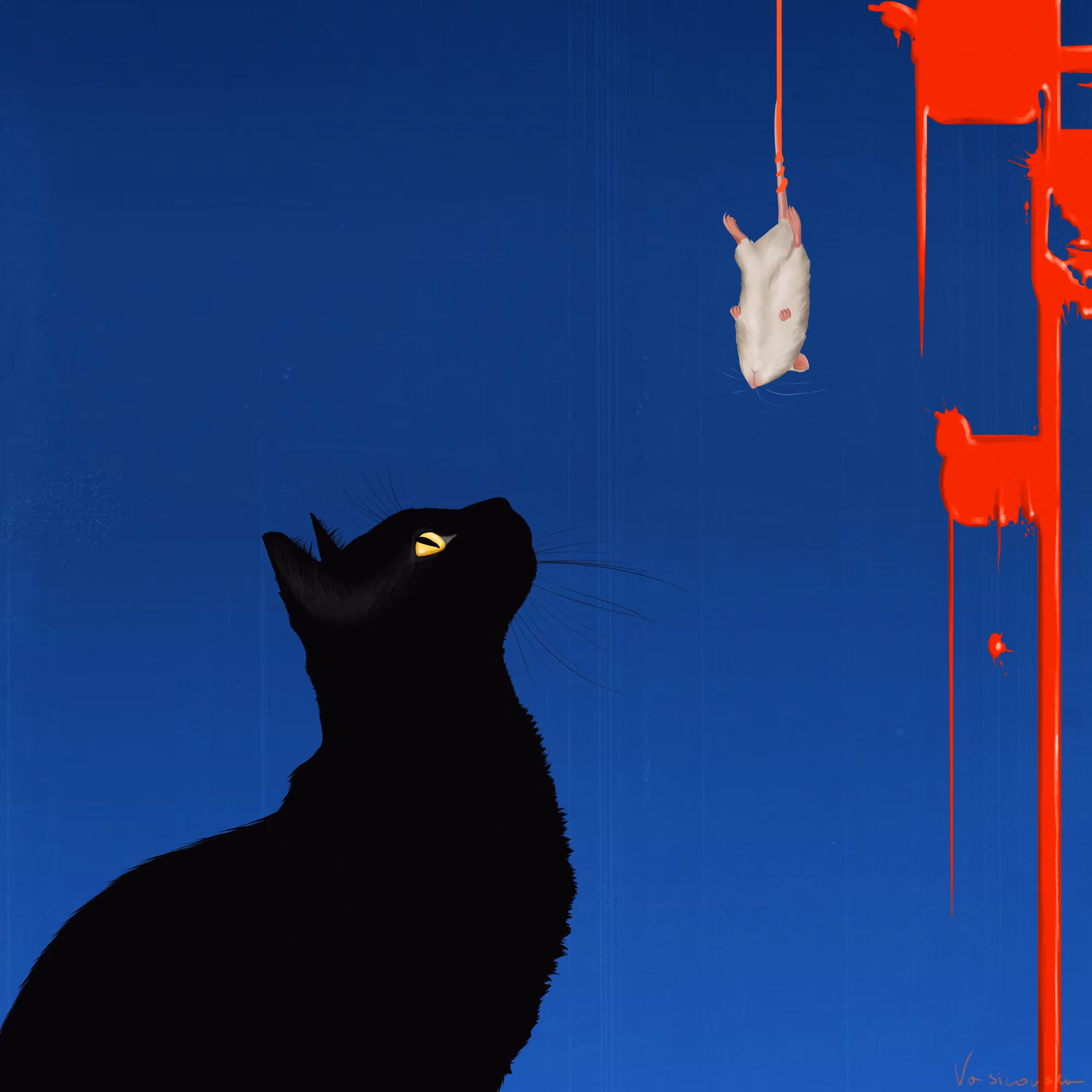 Her cat