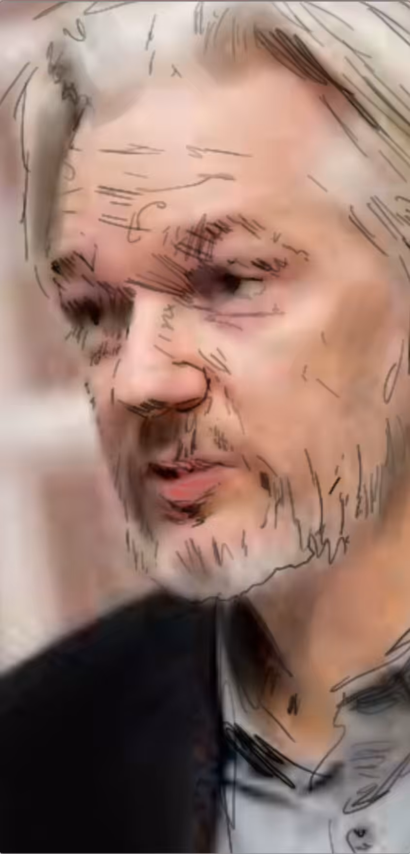Julian Assange, 703 days in prison Mar_13_2021