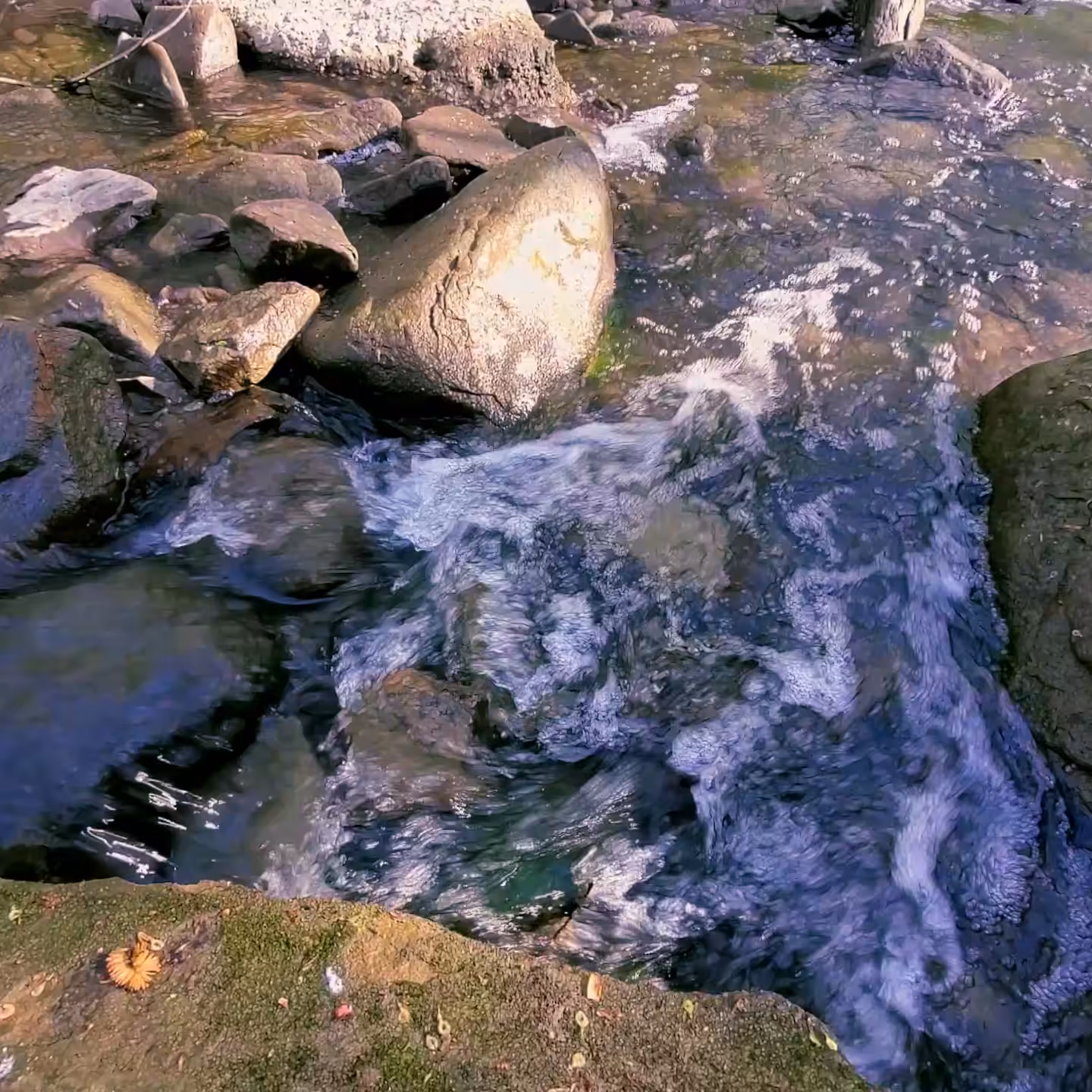 Eyes of the Brook
