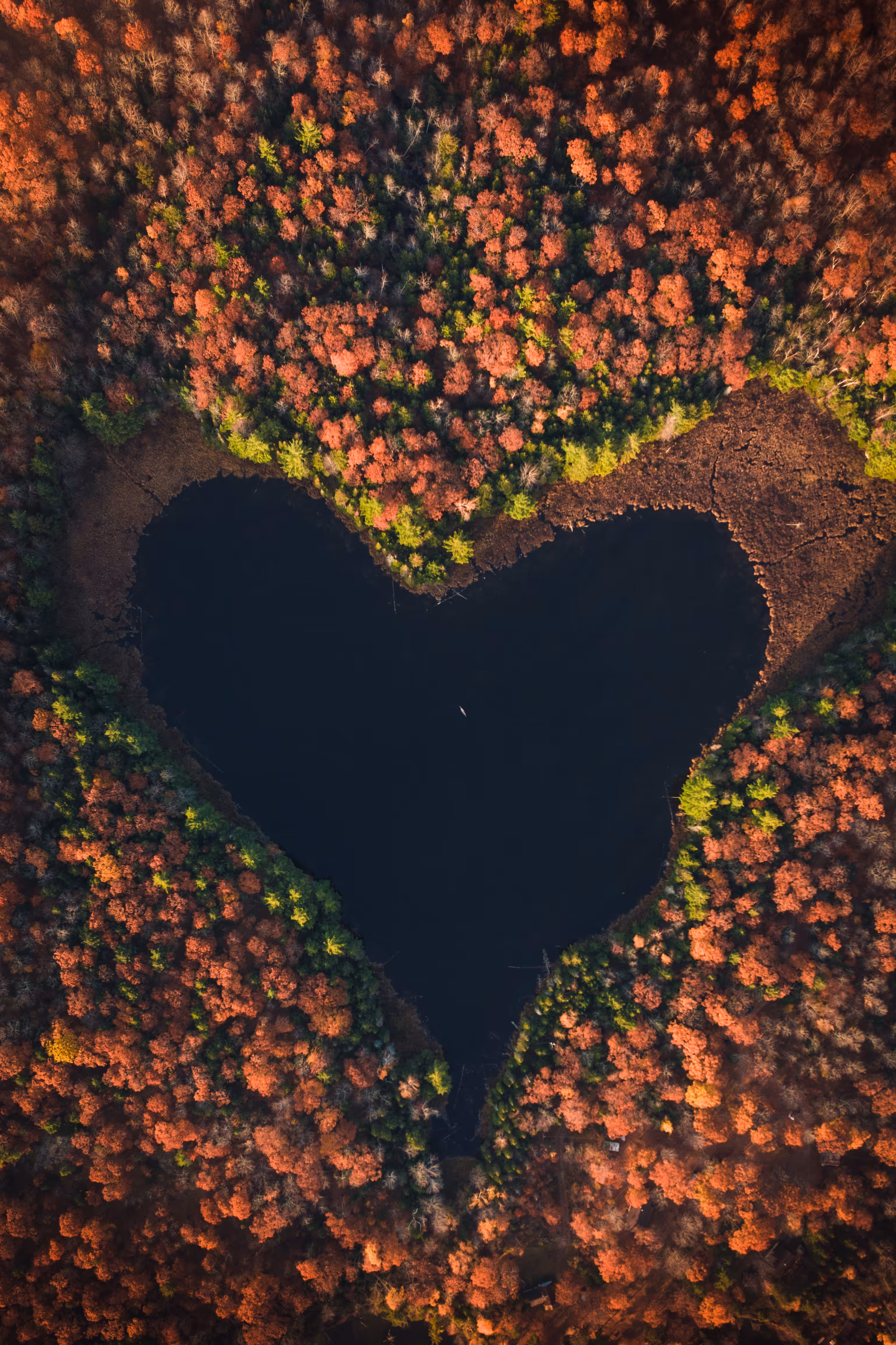 FIRE #2 - Heart’s Inferno