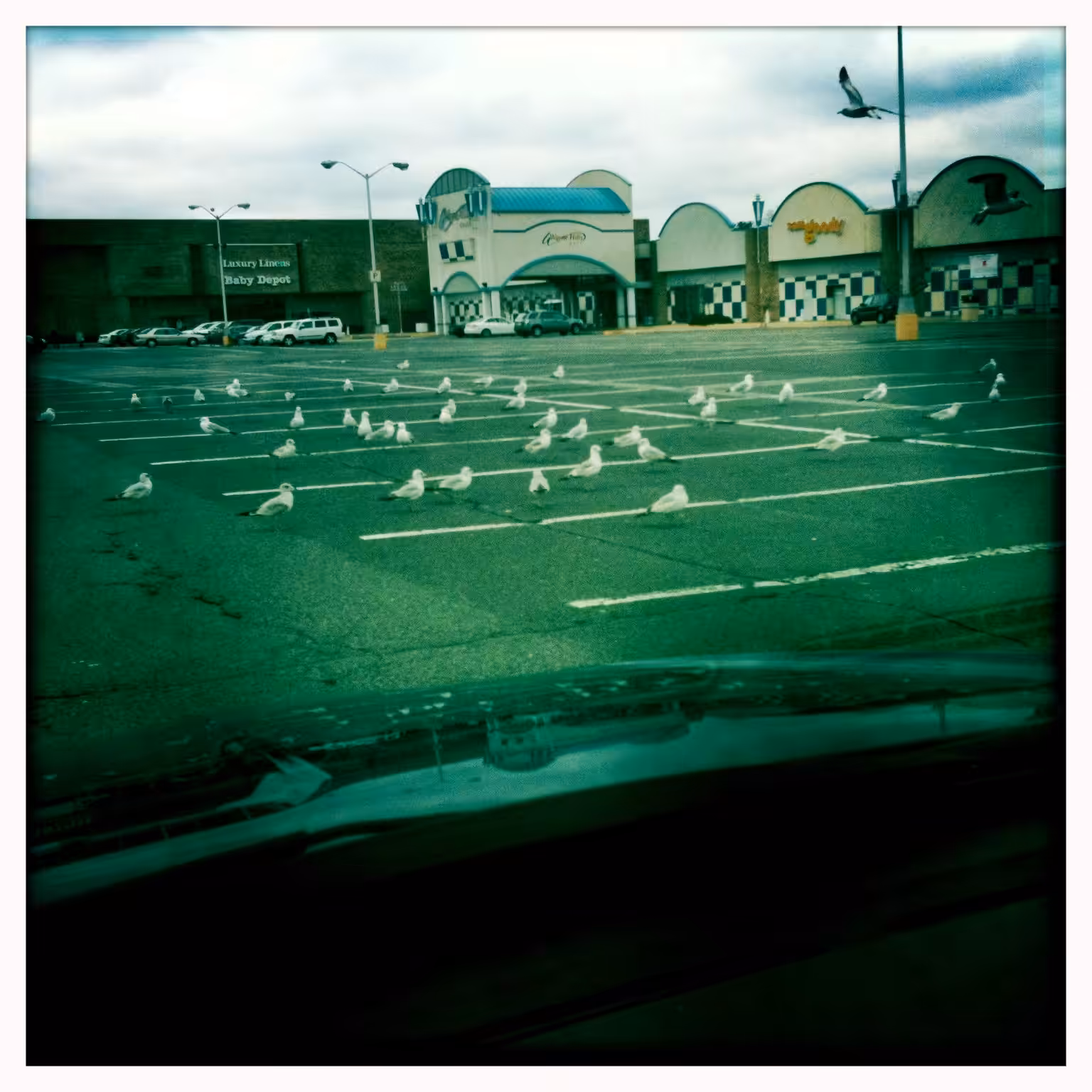 hipsta: IMG_3154