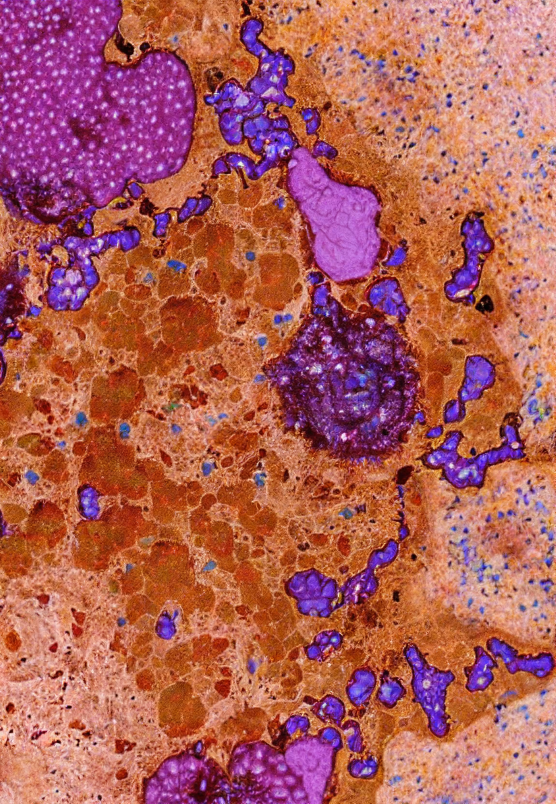 Histologia In Silico #128