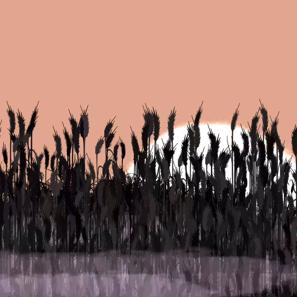 Walk in the field #23