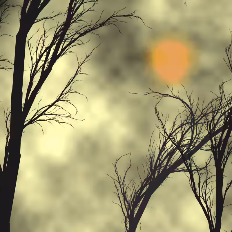 Through the night #34