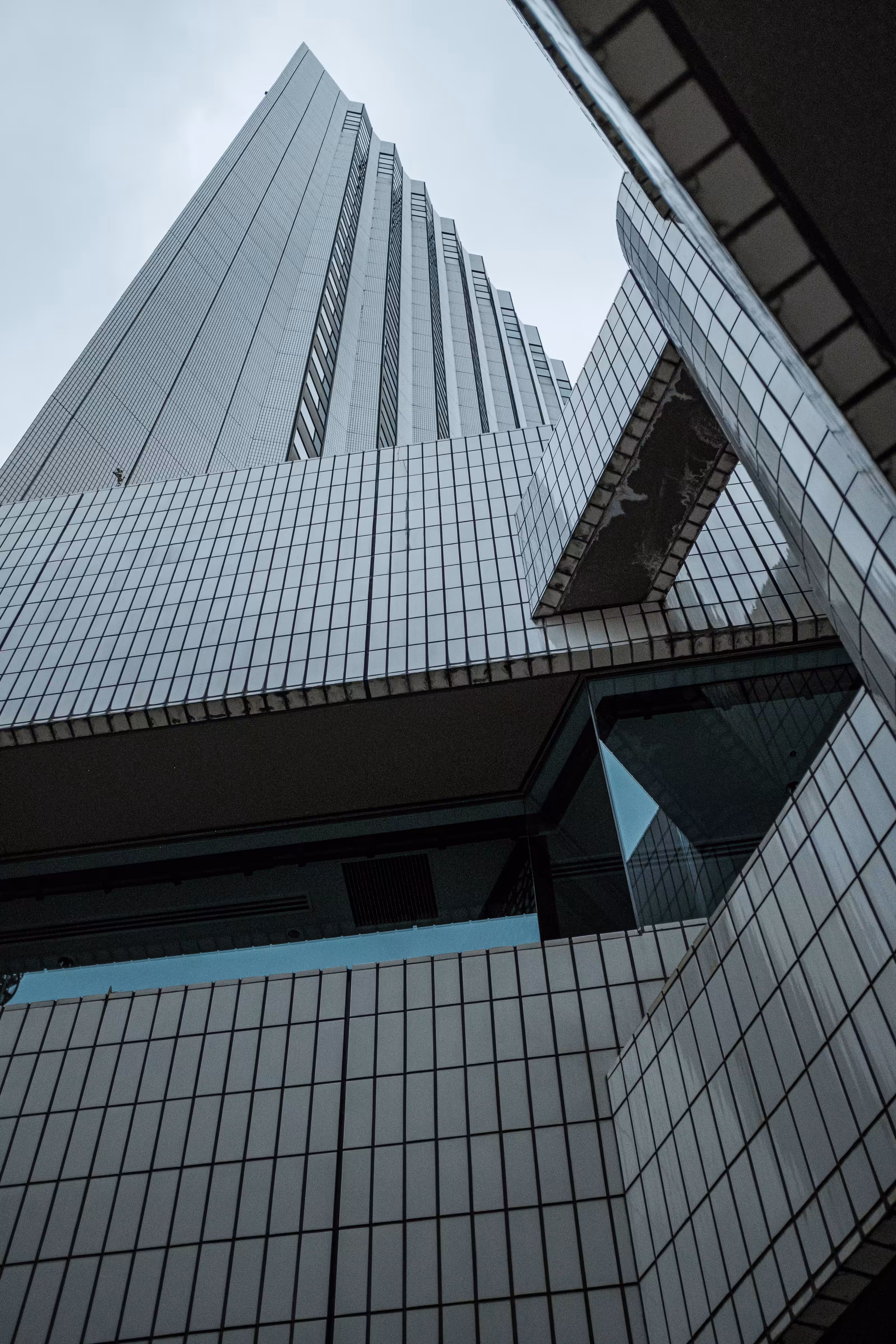 Looking Up