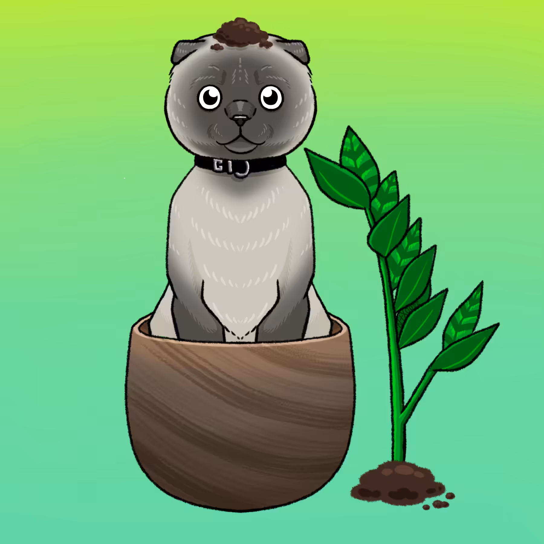 Mochi in Pot