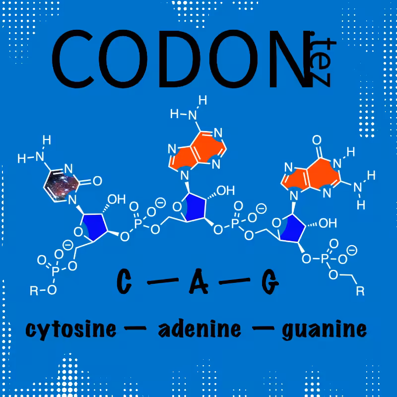 Codon Minter #28