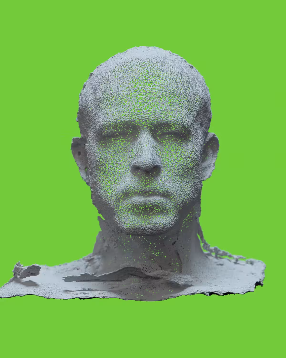 SELF PORTRAIT 