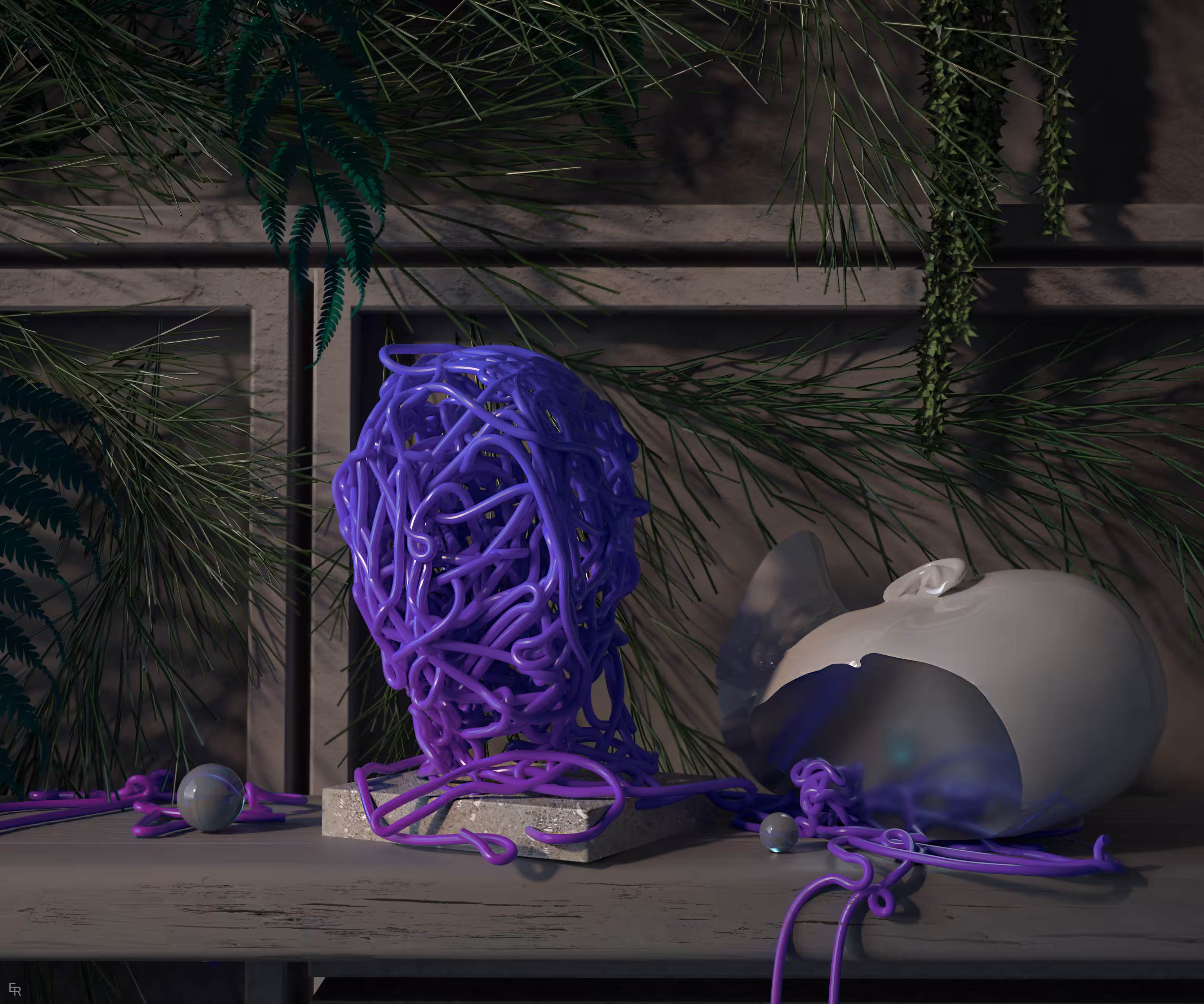 Still Life Of Memories 