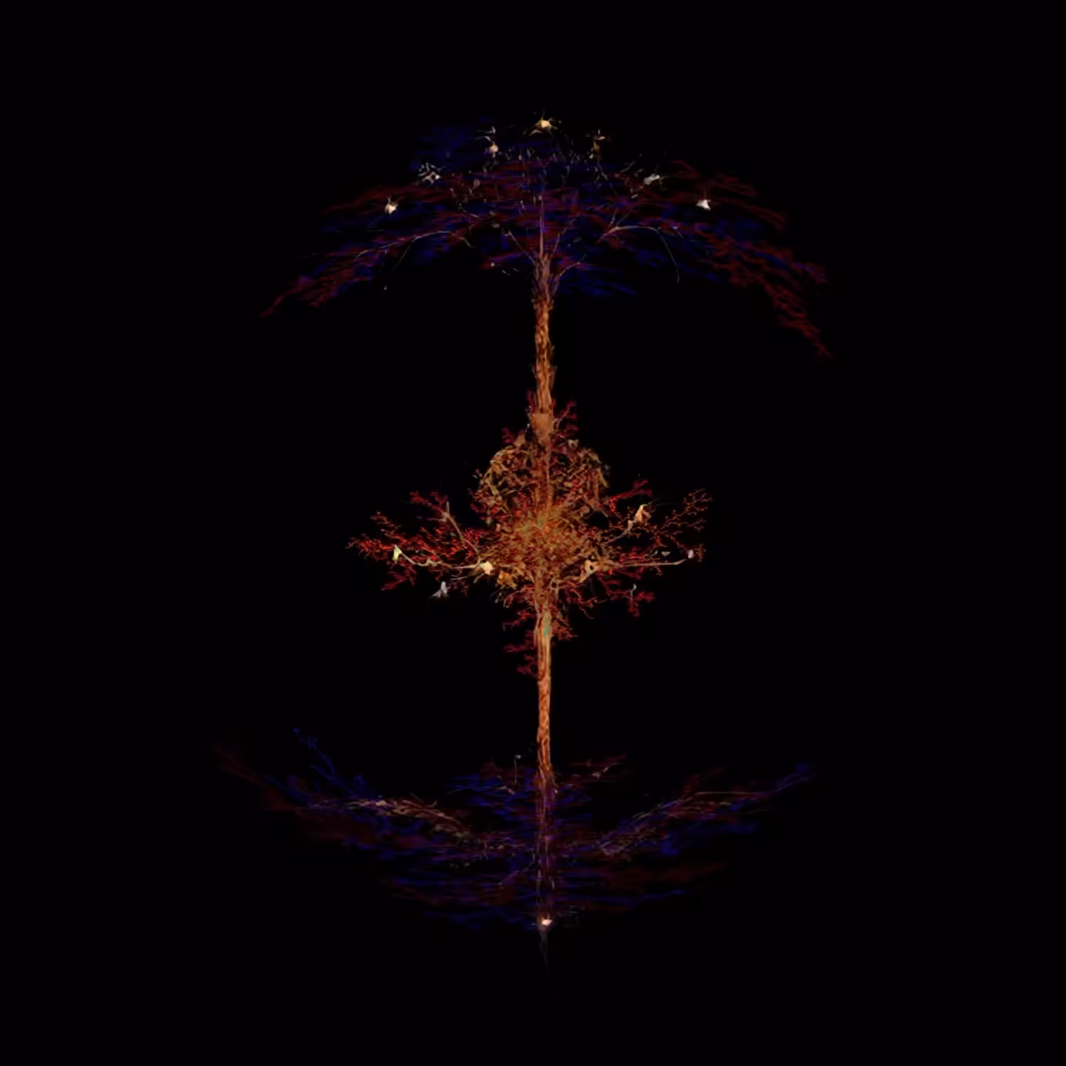 Mycelium Dream 3/3