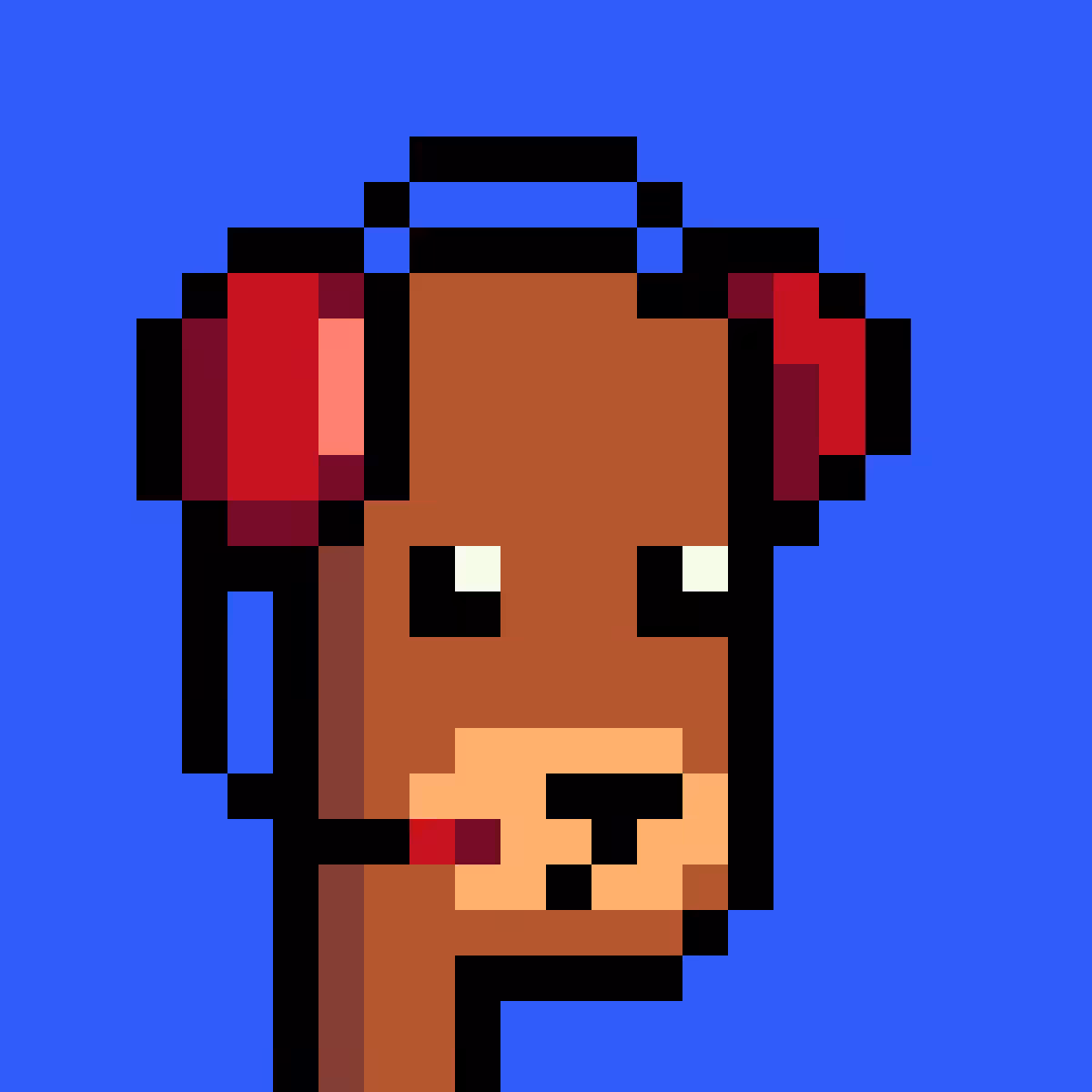 BearPunks #2888