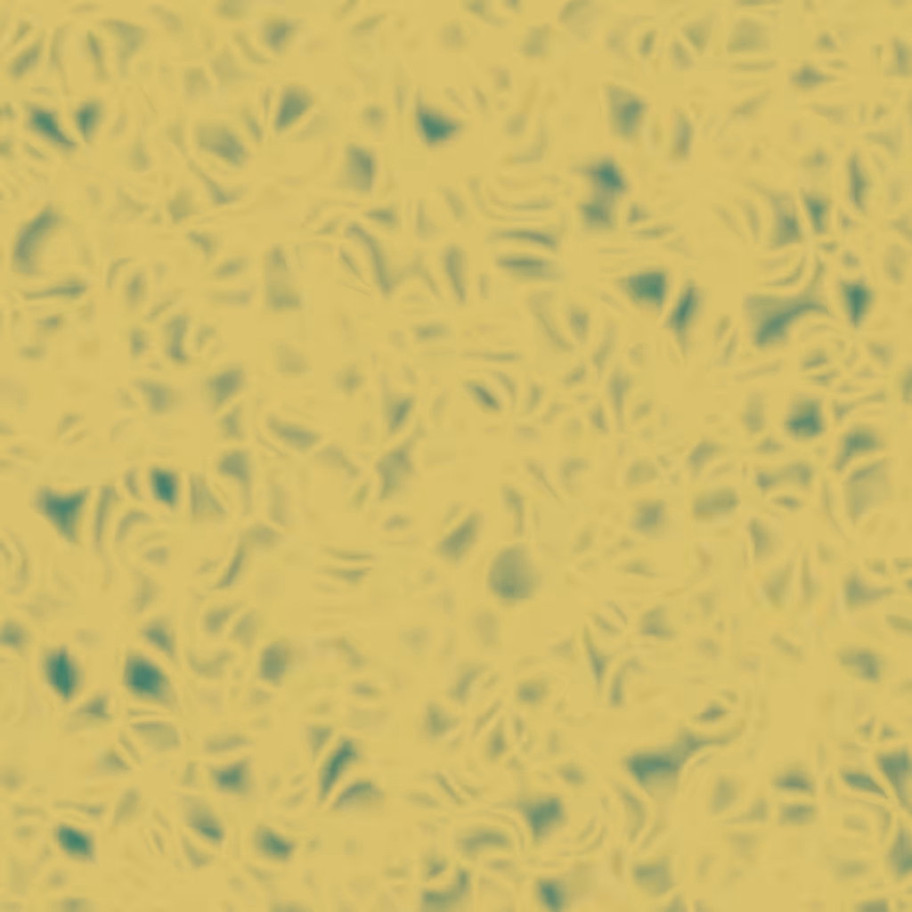 noises