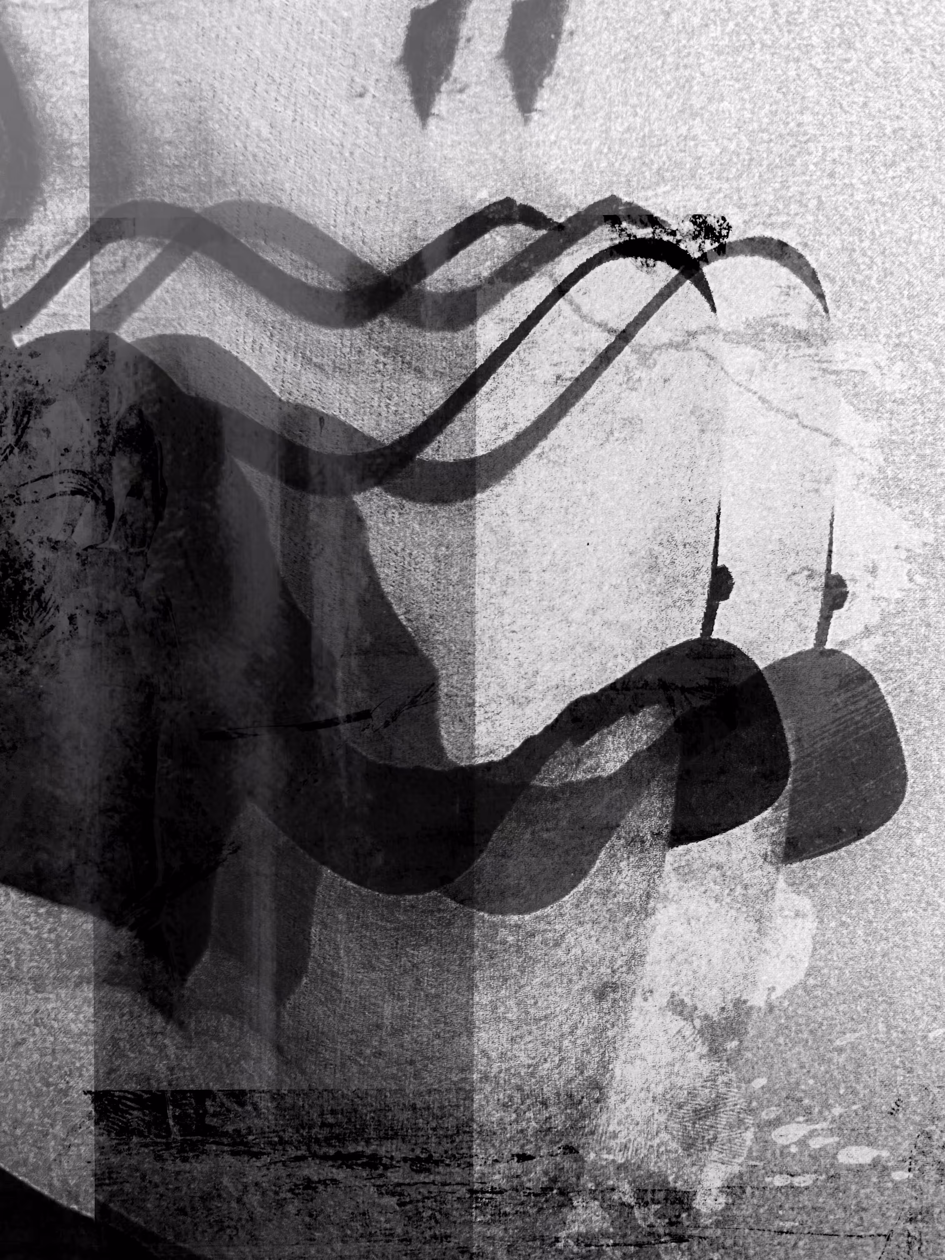 [unnamed | unnembered ] anoma|y