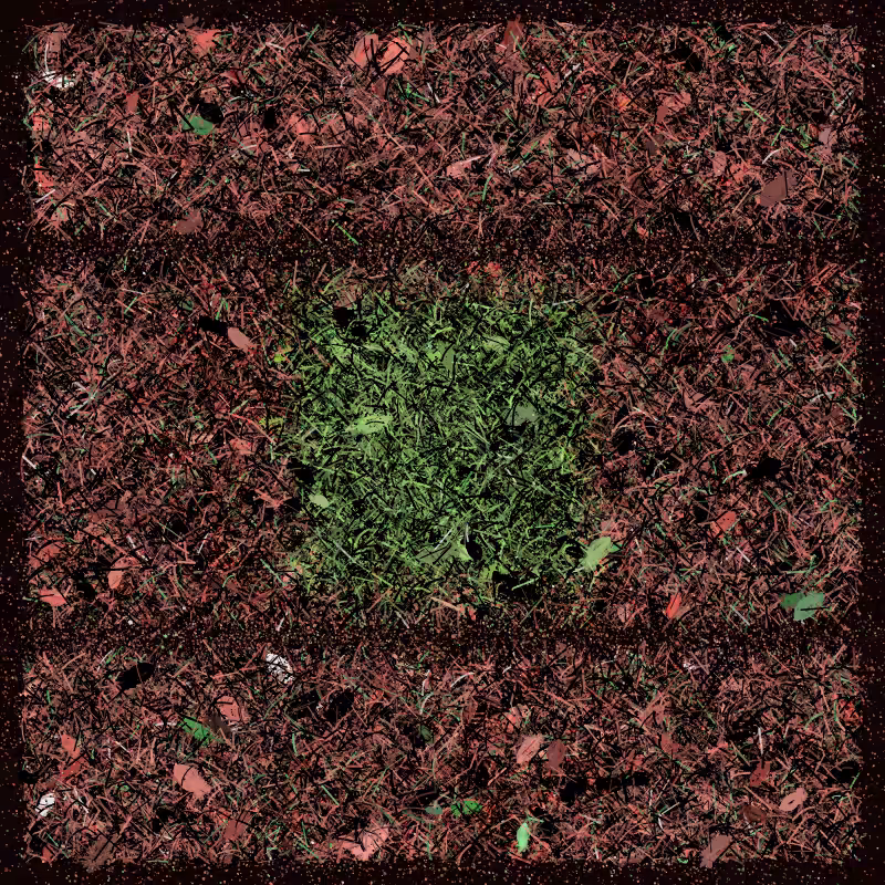 Into the Forestland #12