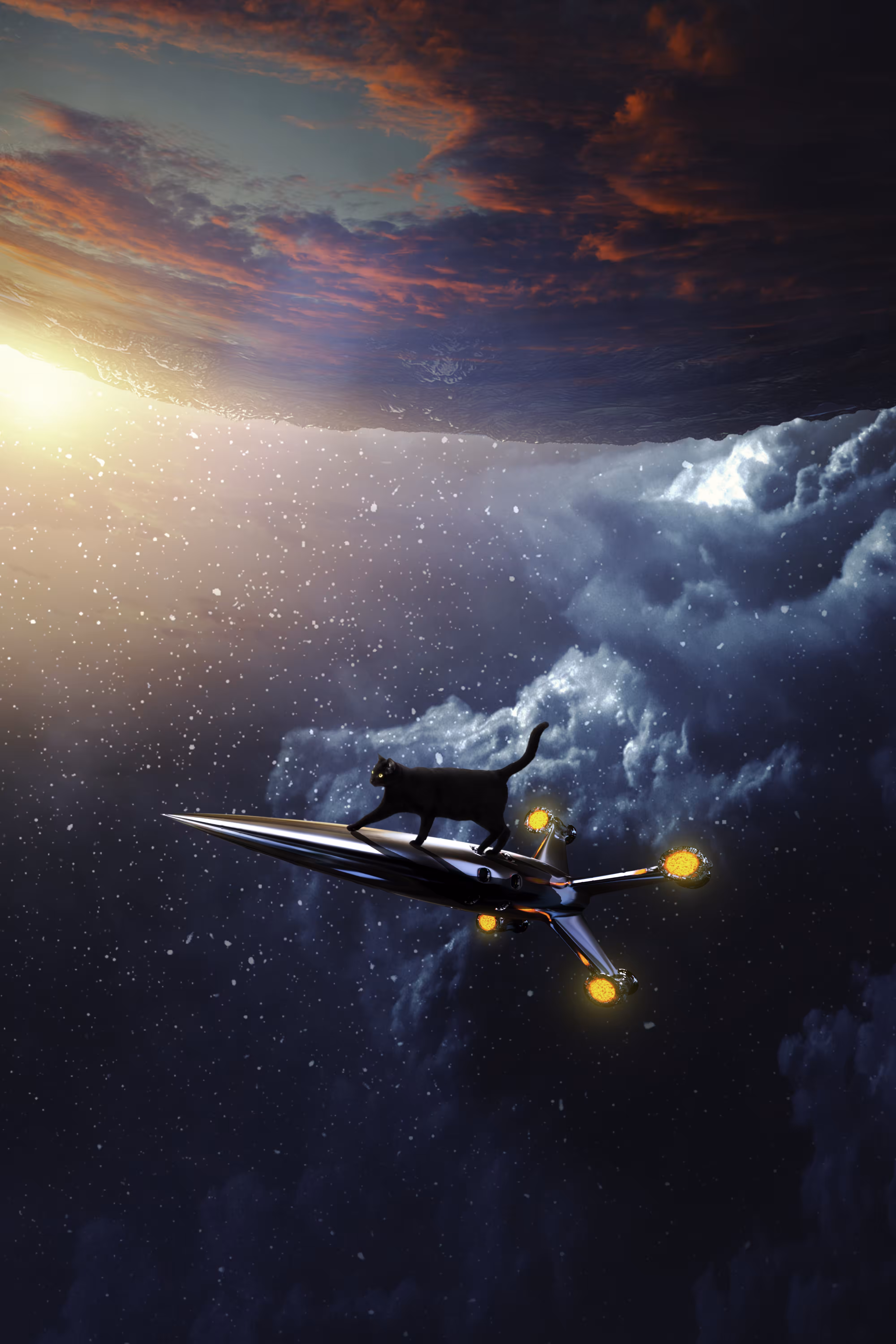 Space Cat