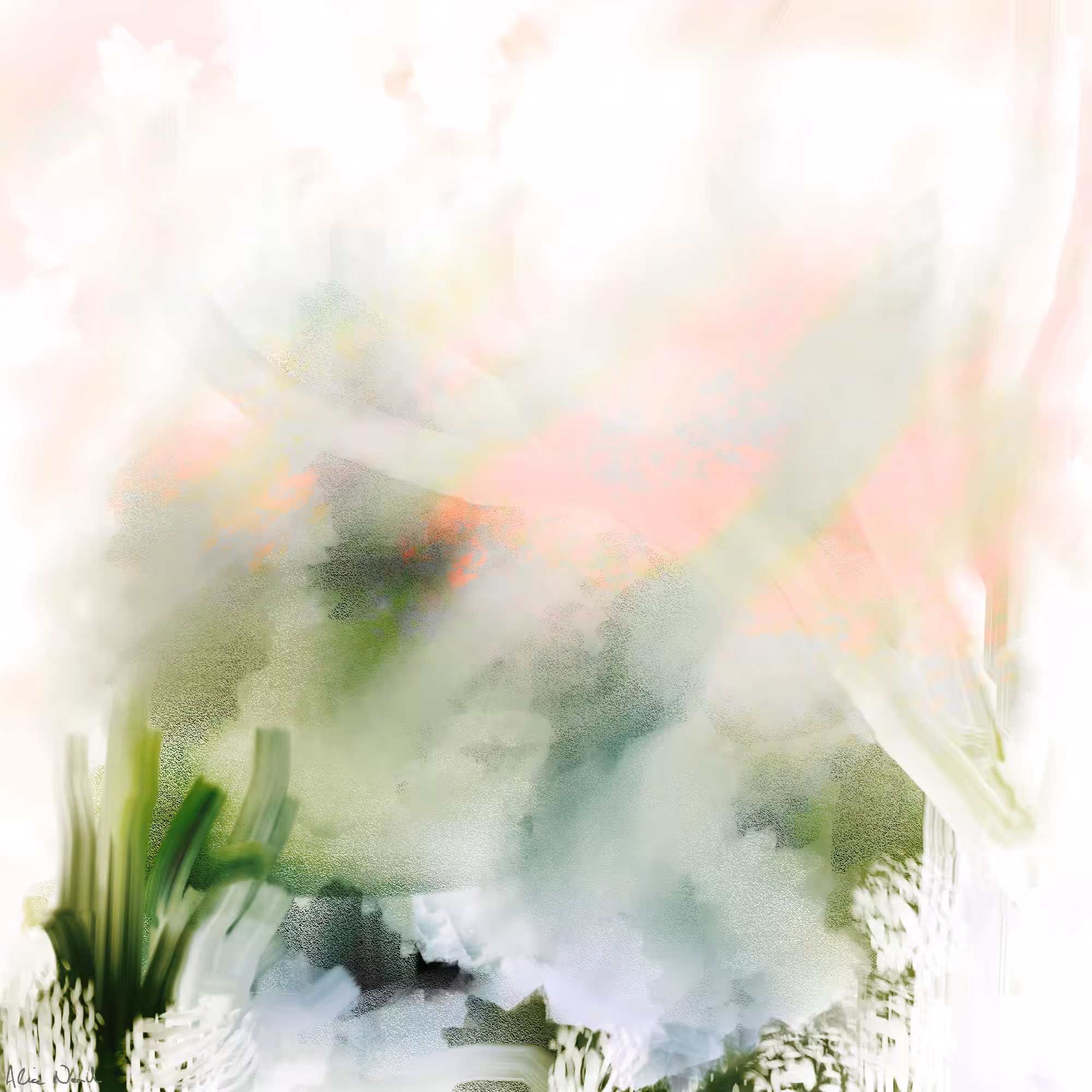 Vision