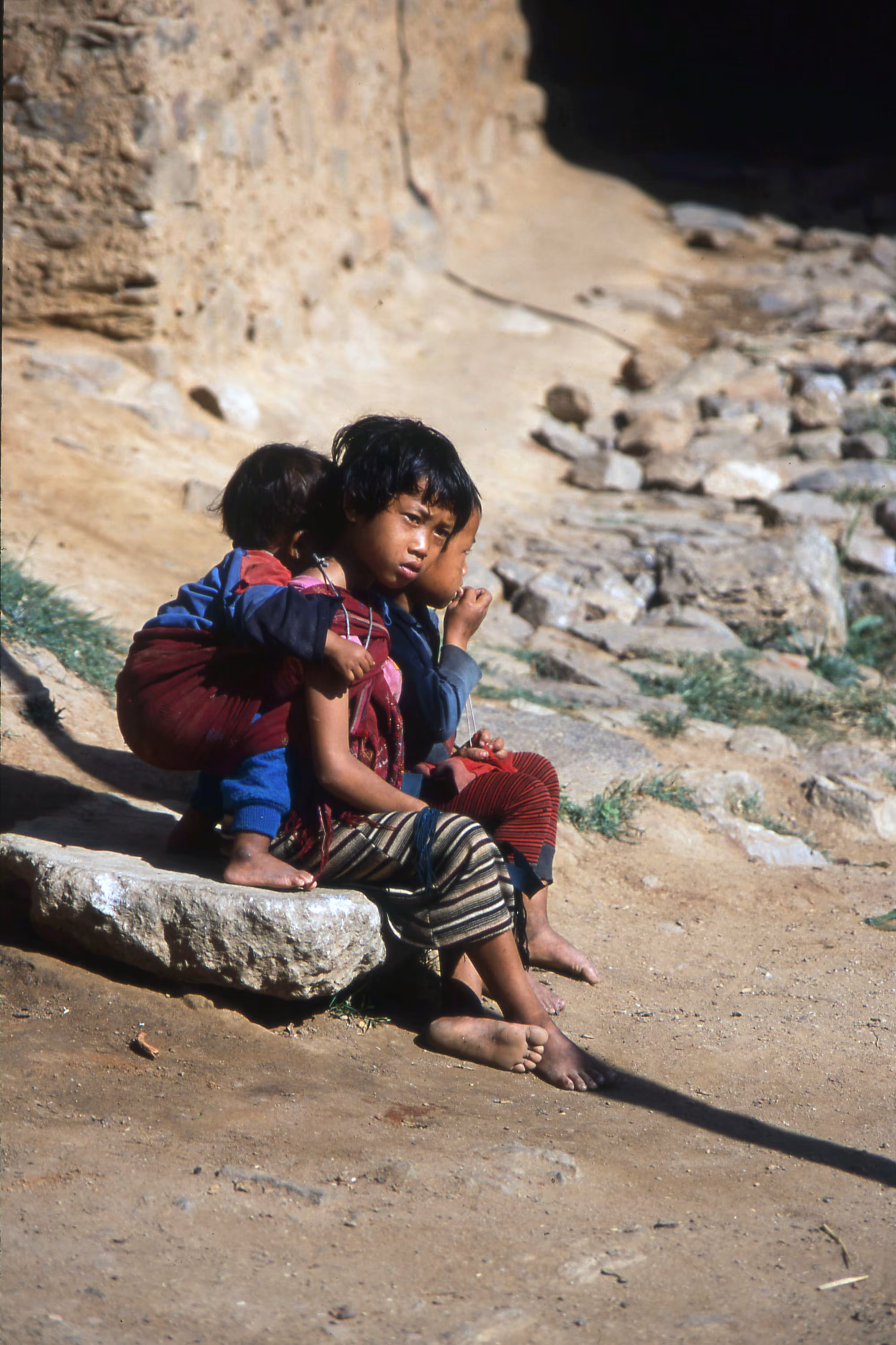 Village Children of Wangdue