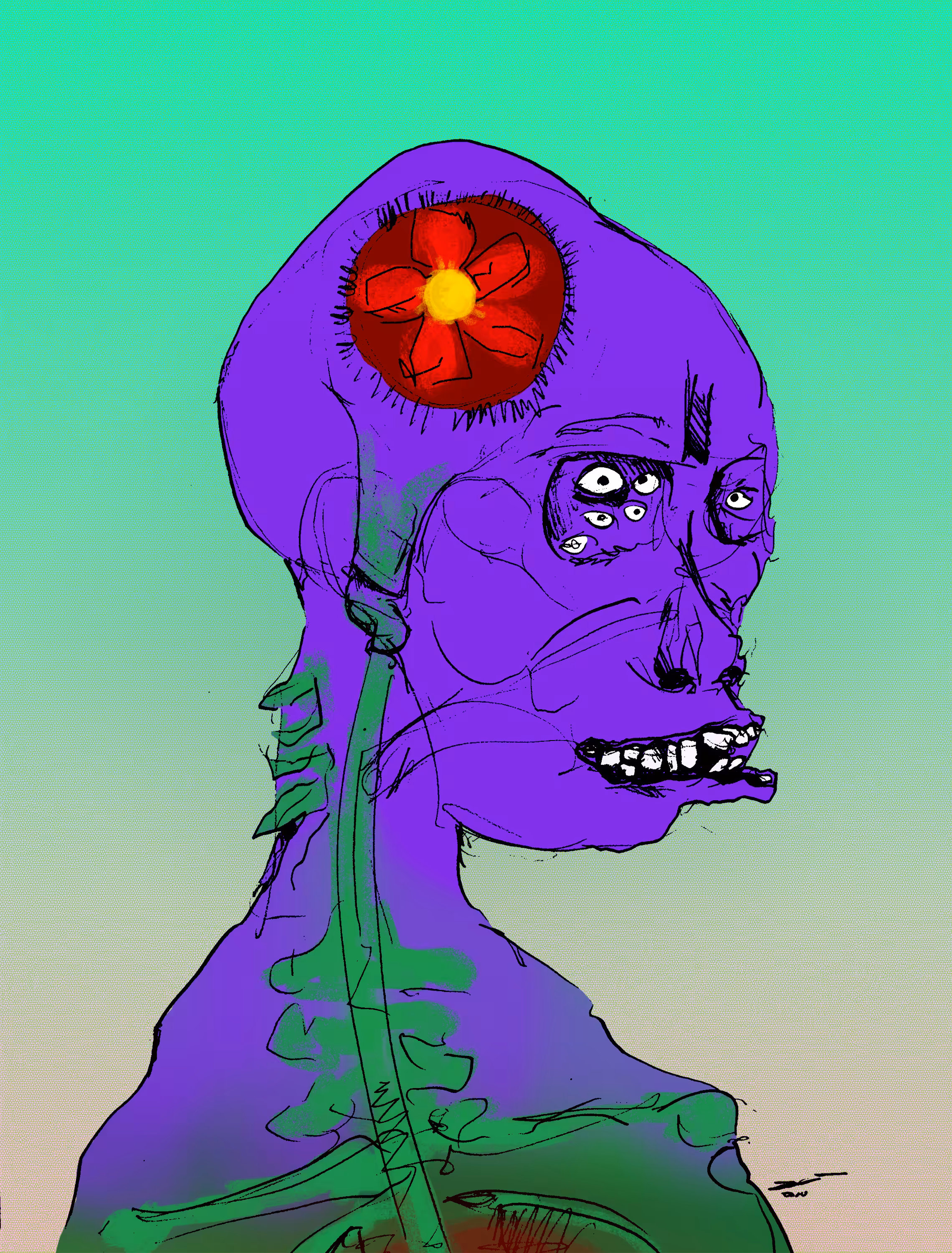 The observer