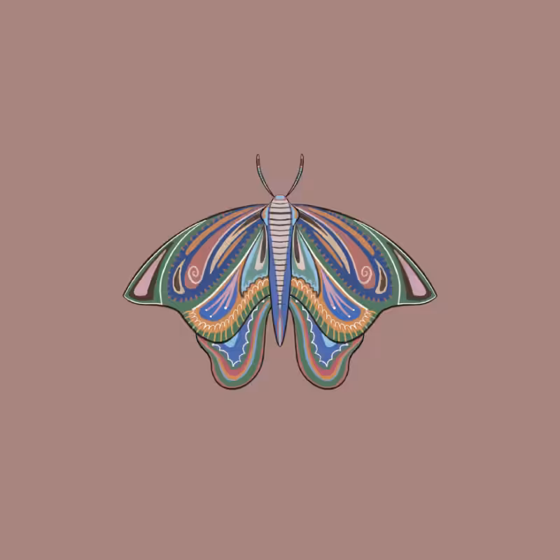 The Moth Experiment 2.0 P2 #5