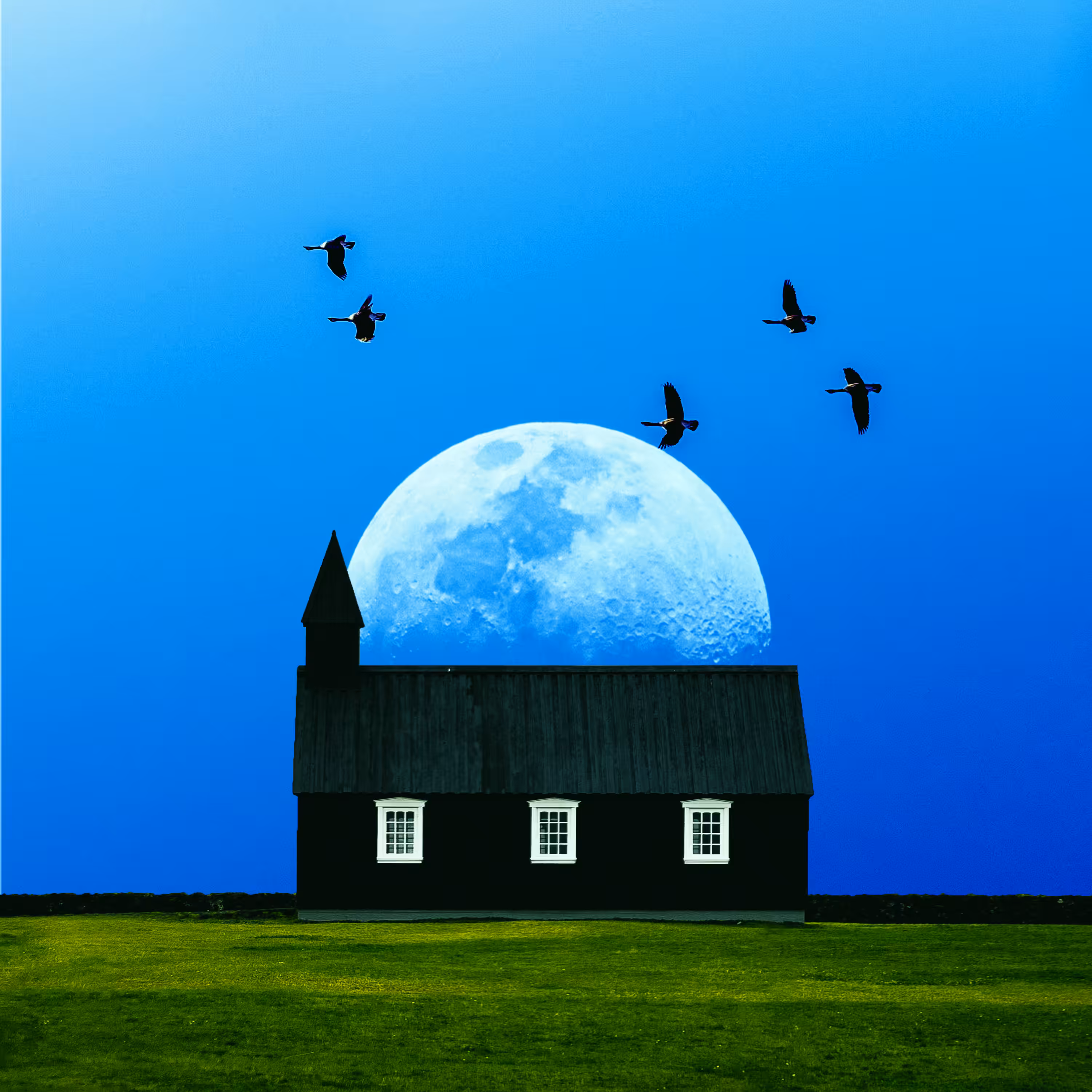 The Scenery #18