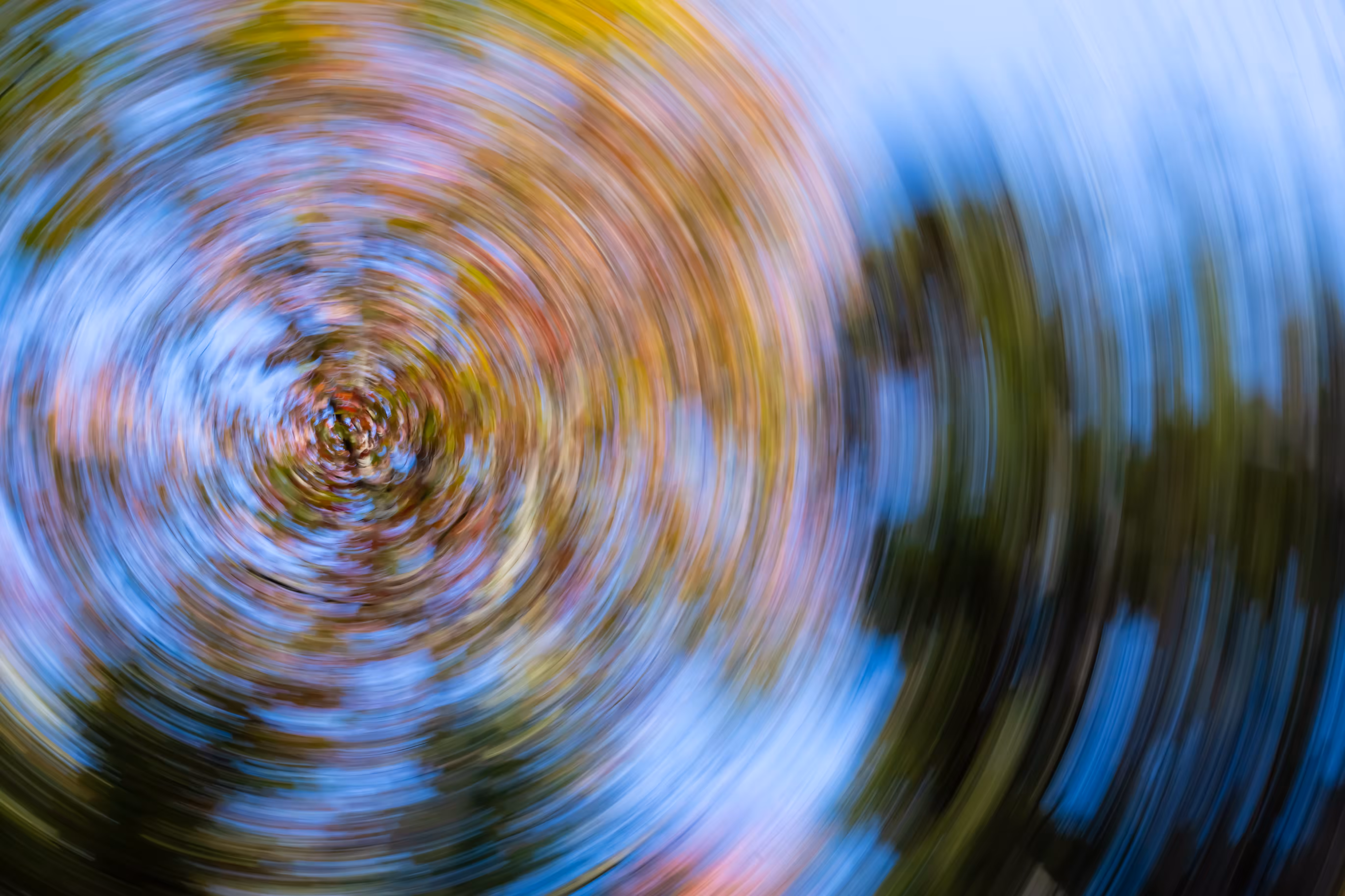 Tree Rings #49 - Fade