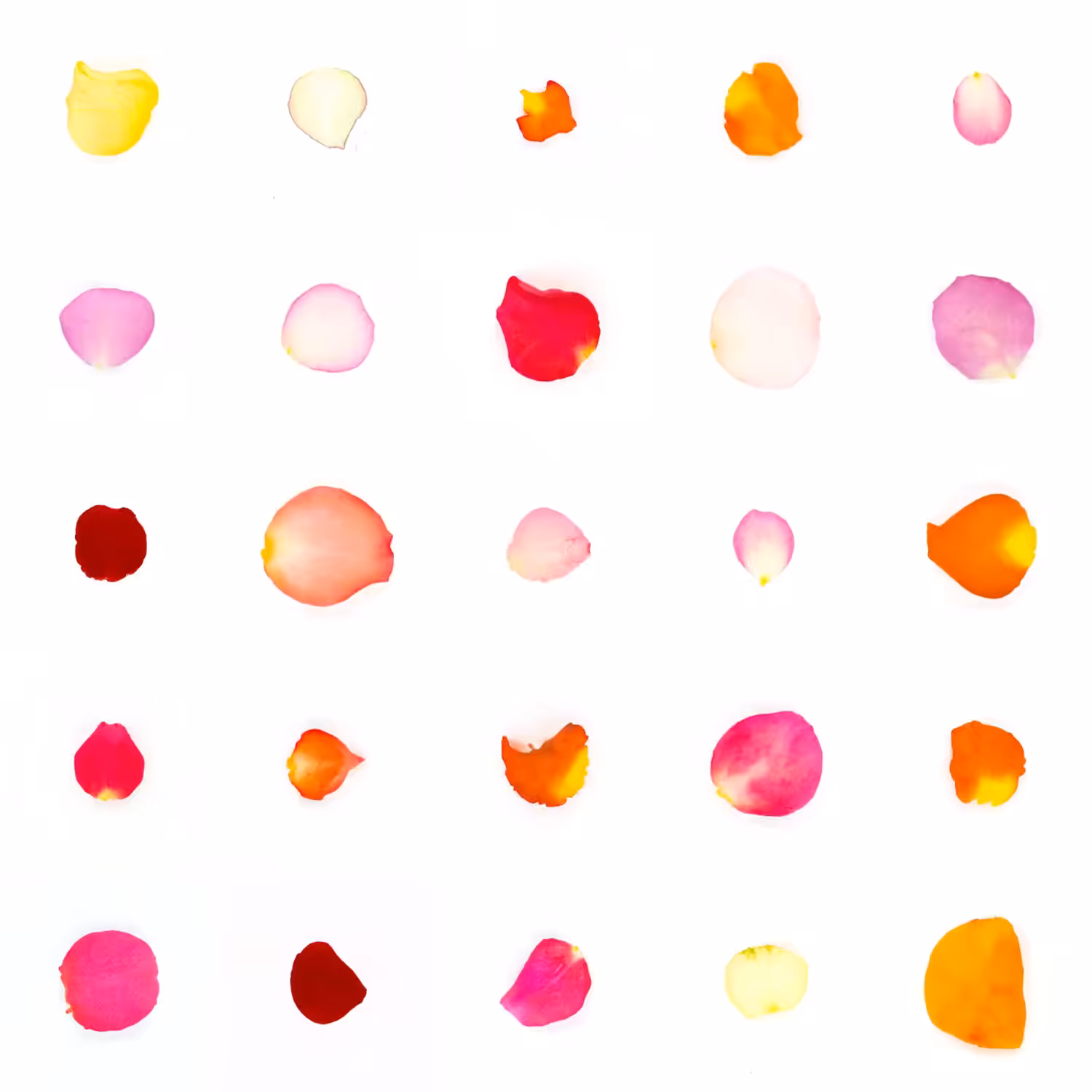 Infinite Petals 5x5#21276