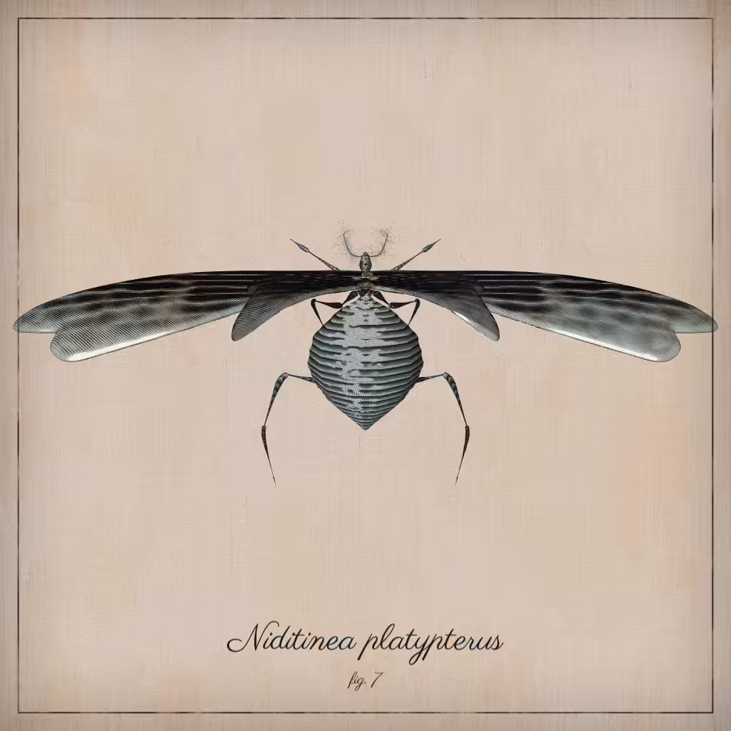 ProcGen Entomology #502