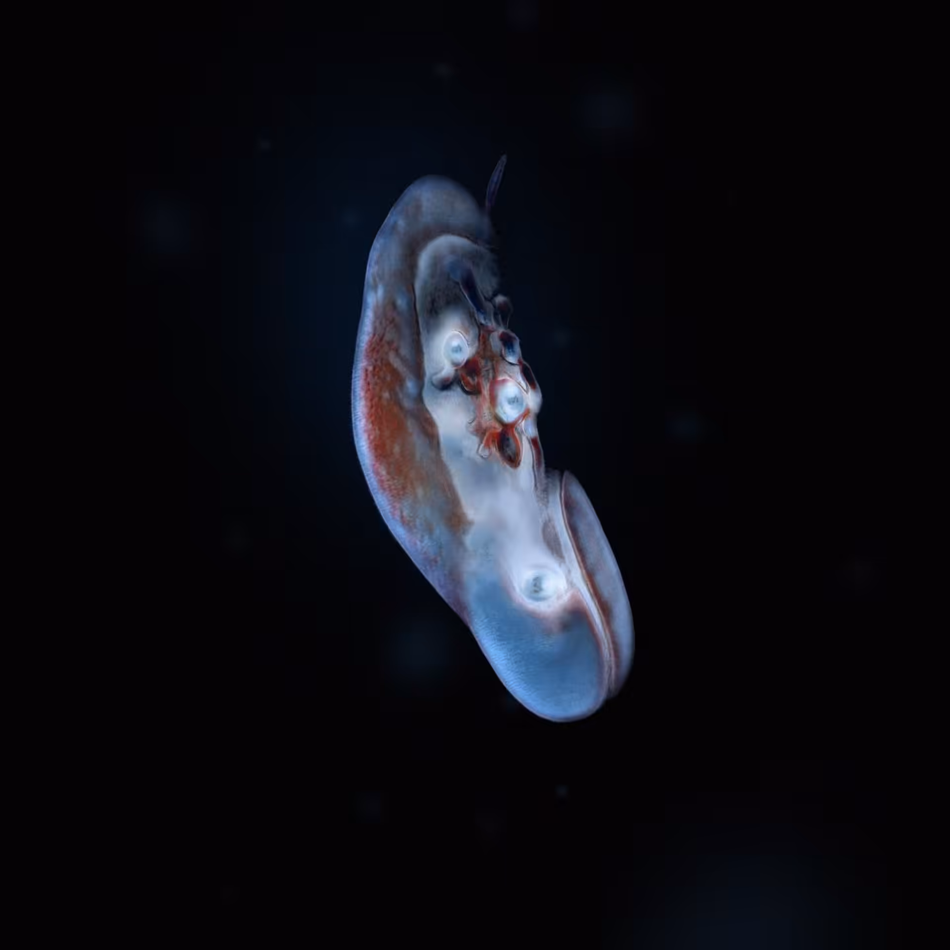 Sperma 59